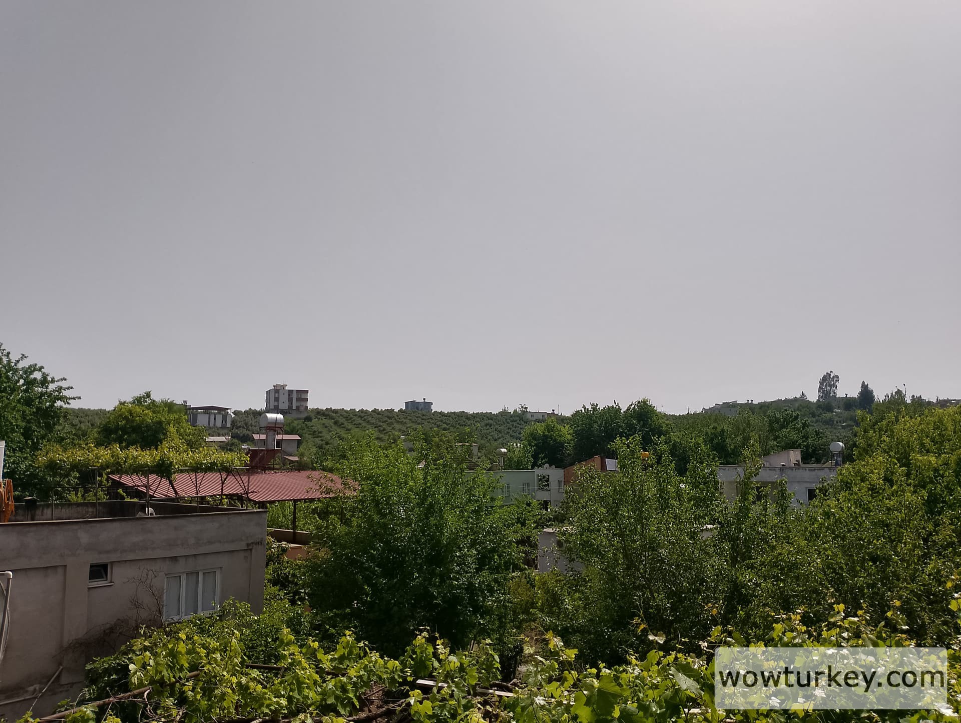 IMG_20240423_144403_HDR