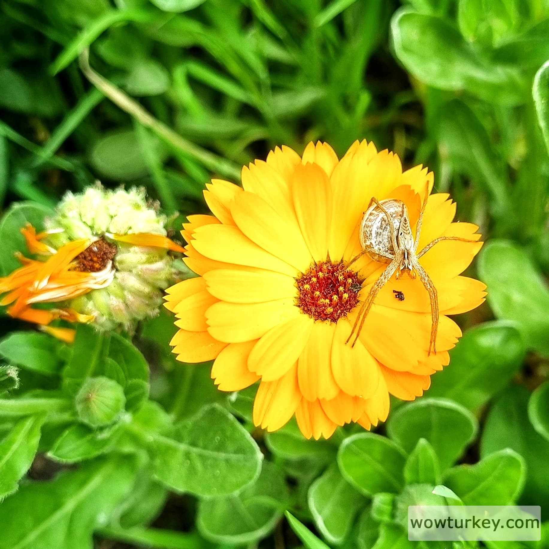 IMG_20240427_174844_834