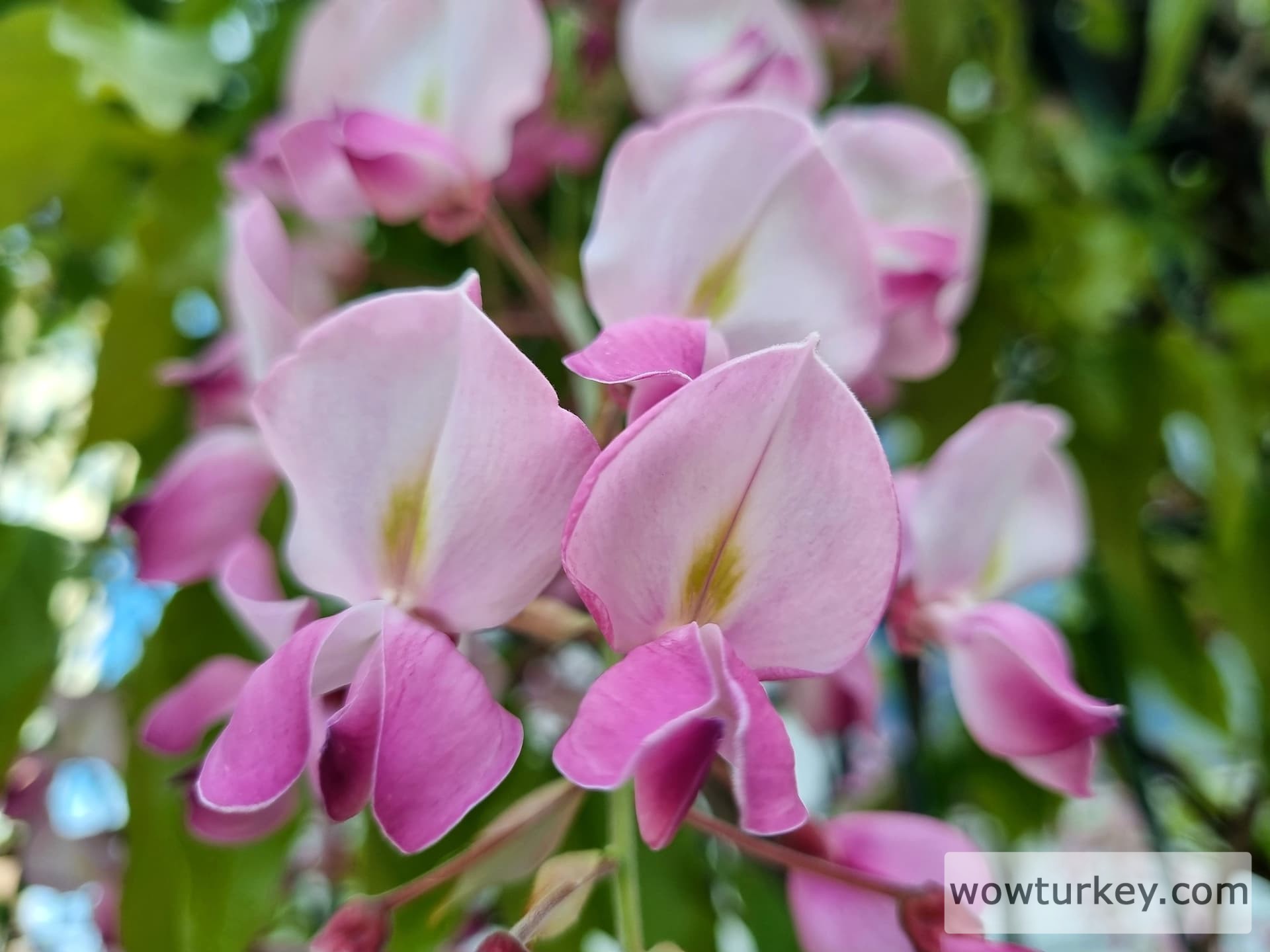 IMG_20240428_104339_554