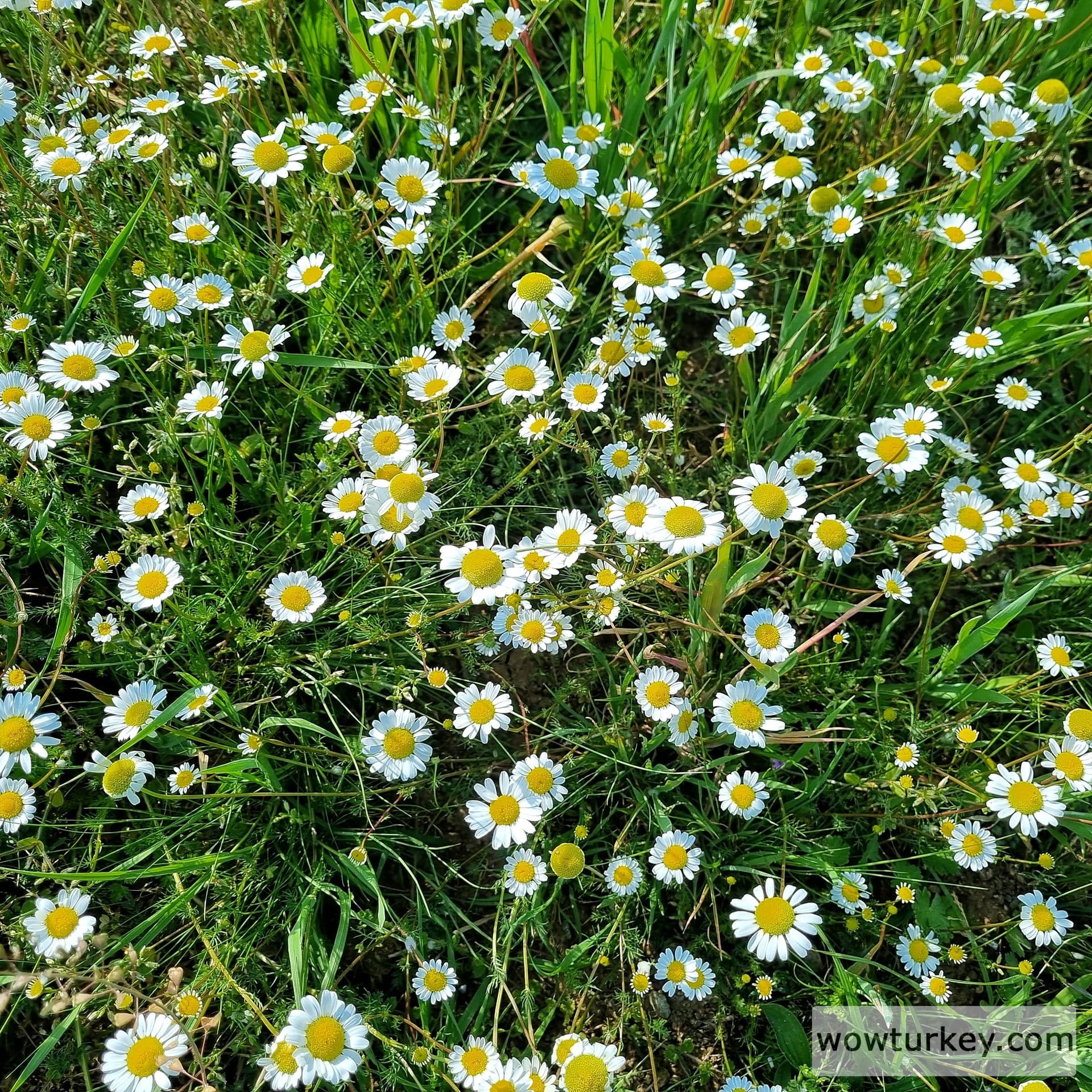 IMG_20240428_201443_640