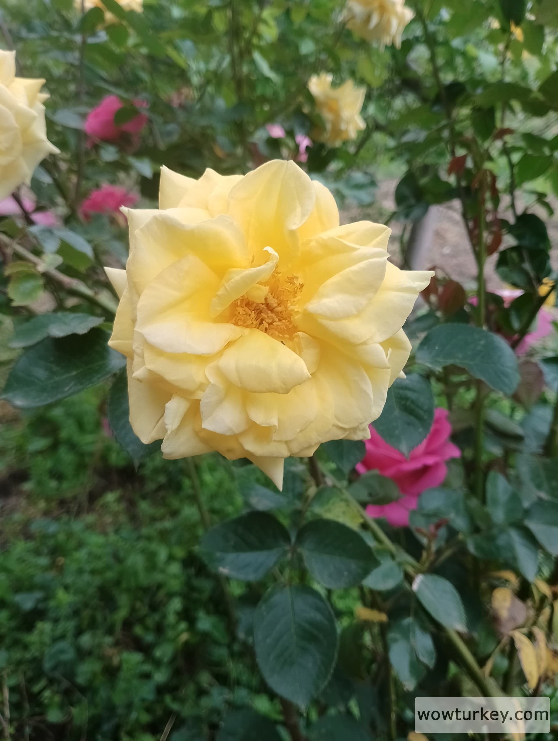 IMG_20240501_110314_HDR