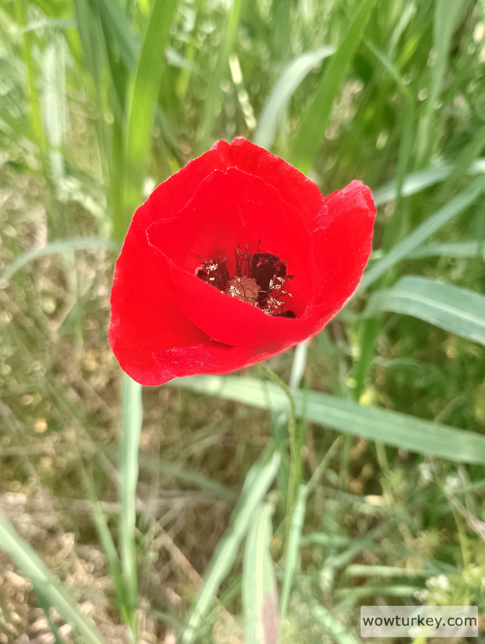 IMG_20240501_132546_HDR