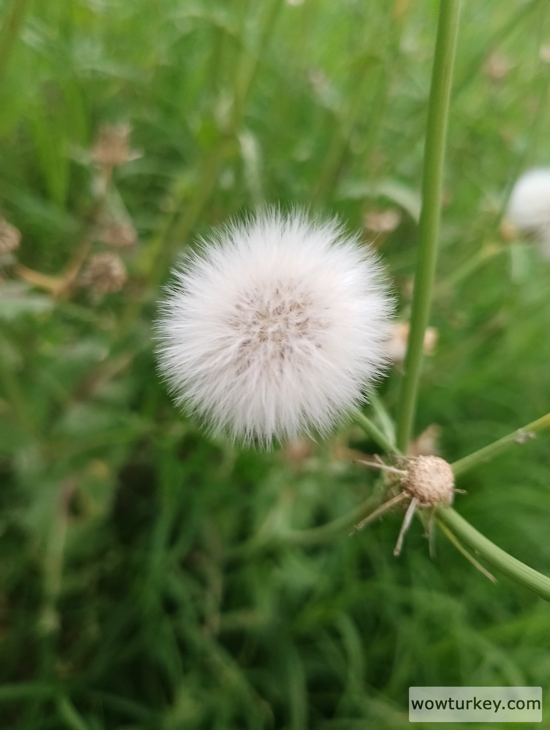 IMG_20240501_133806_HDR