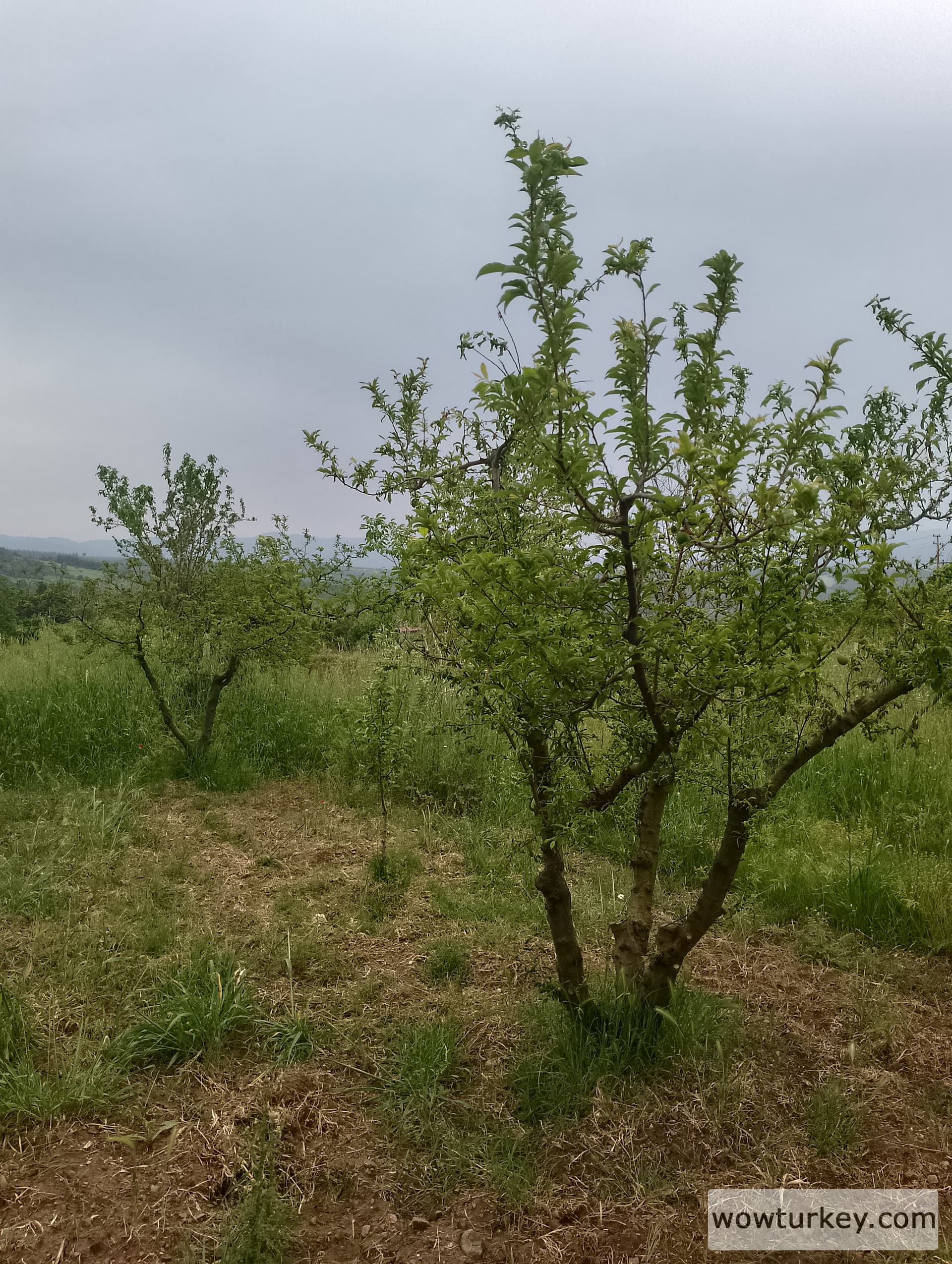 IMG_20240501_150413_HDR