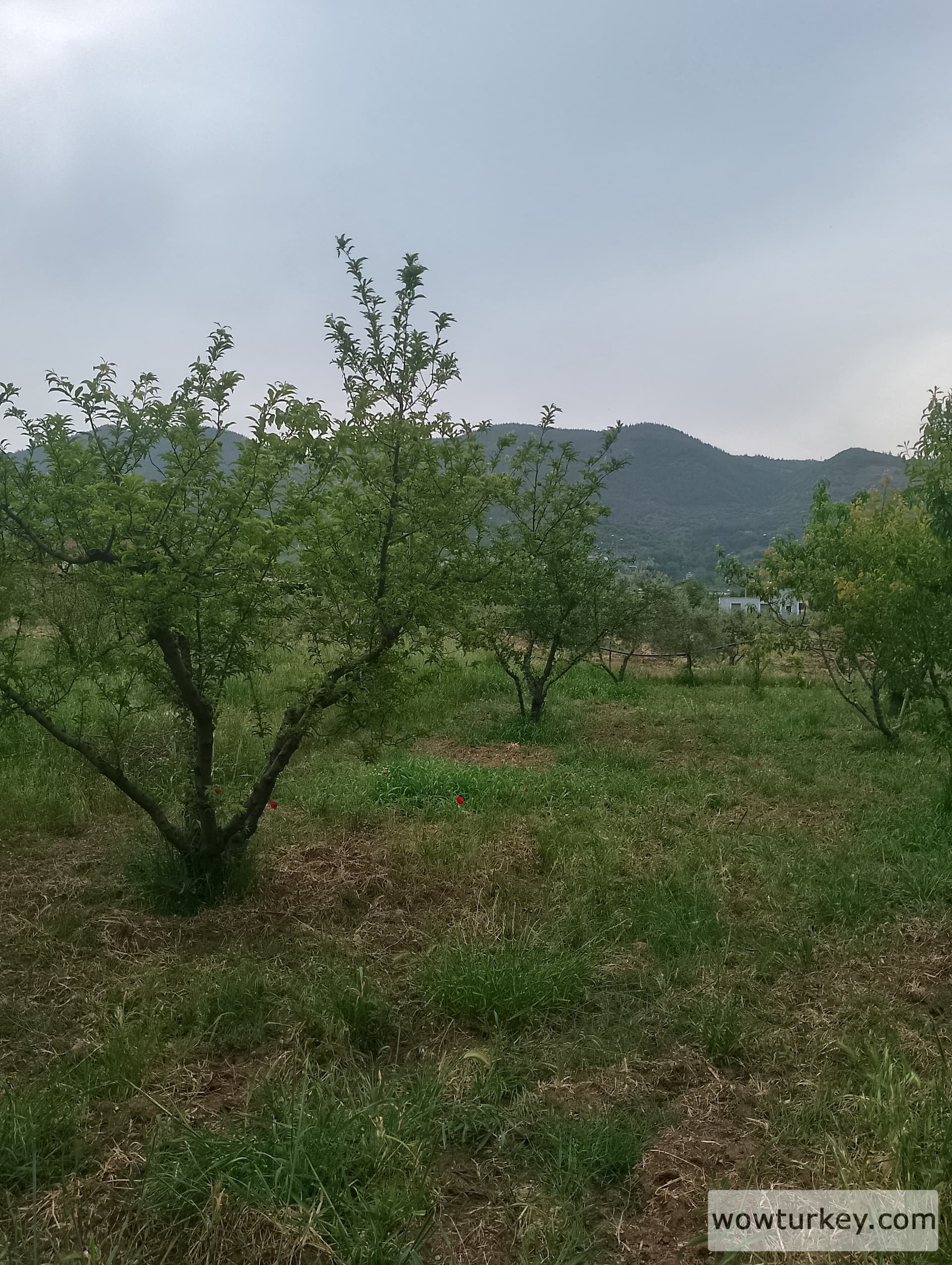 IMG_20240501_150430_HDR