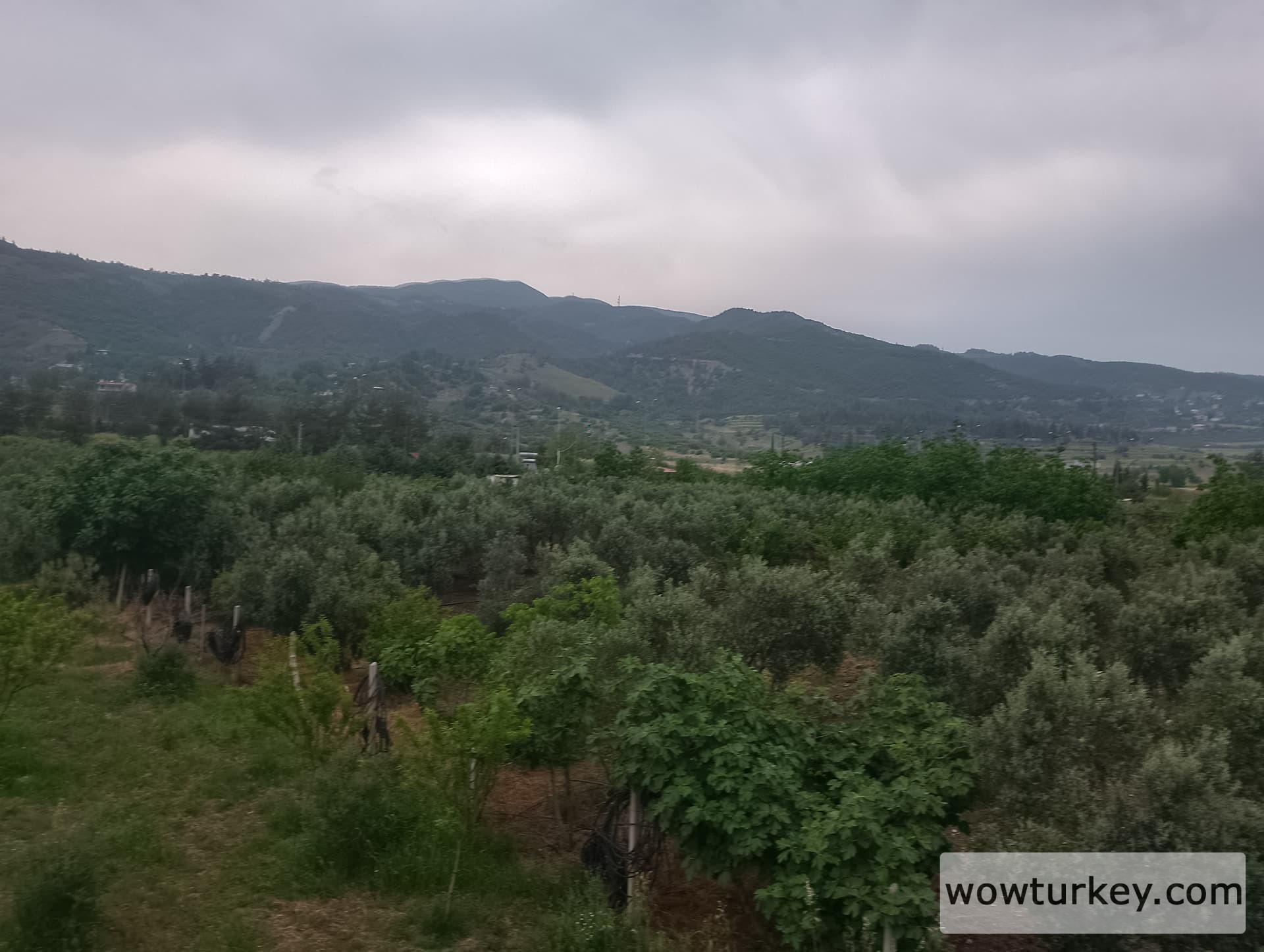 IMG_20240501_150640_HDR