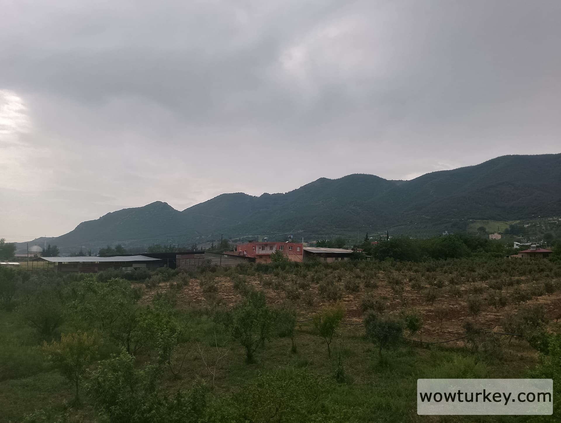 IMG_20240501_150651_HDR