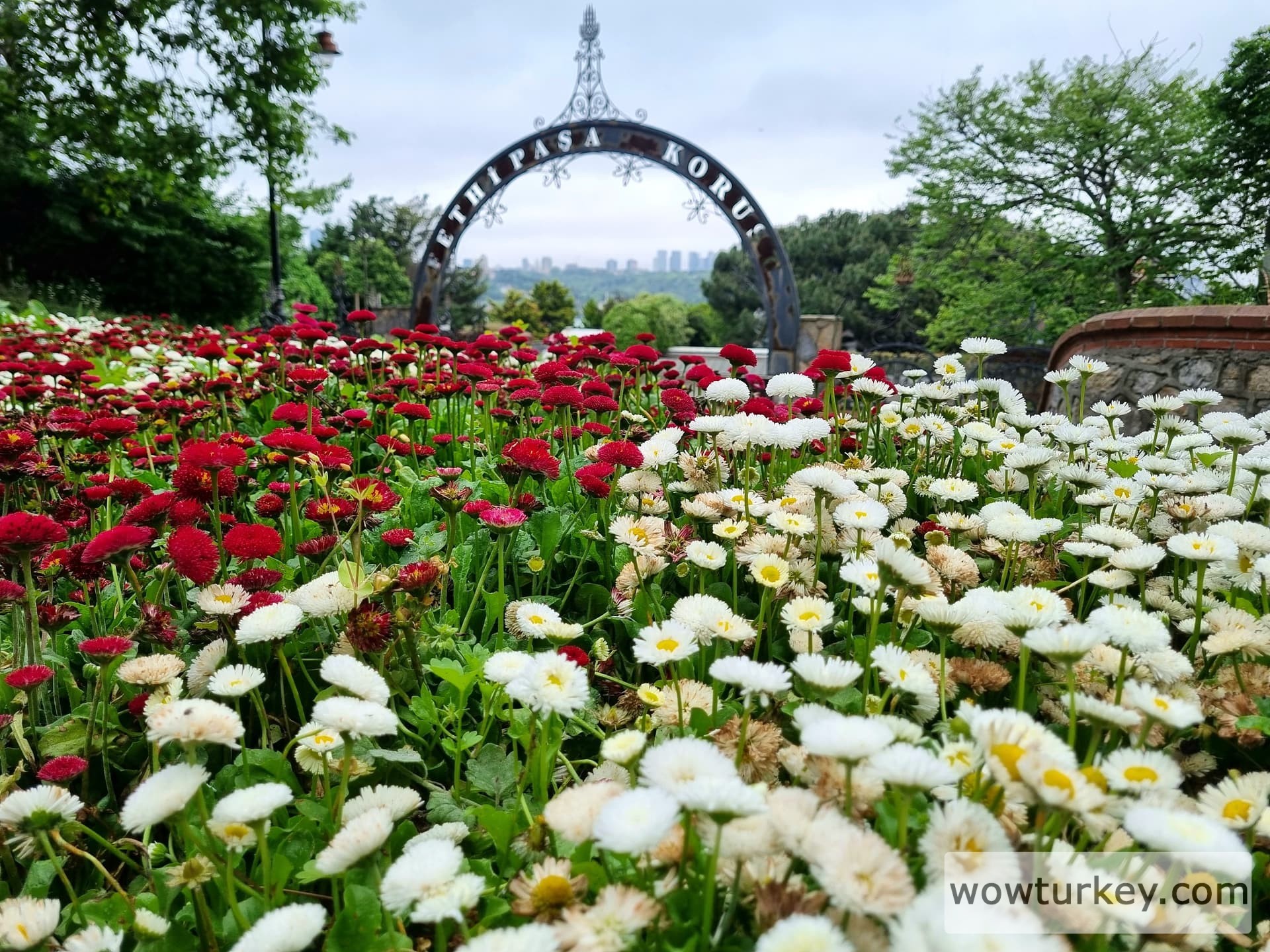 IMG_20240501_210516_864