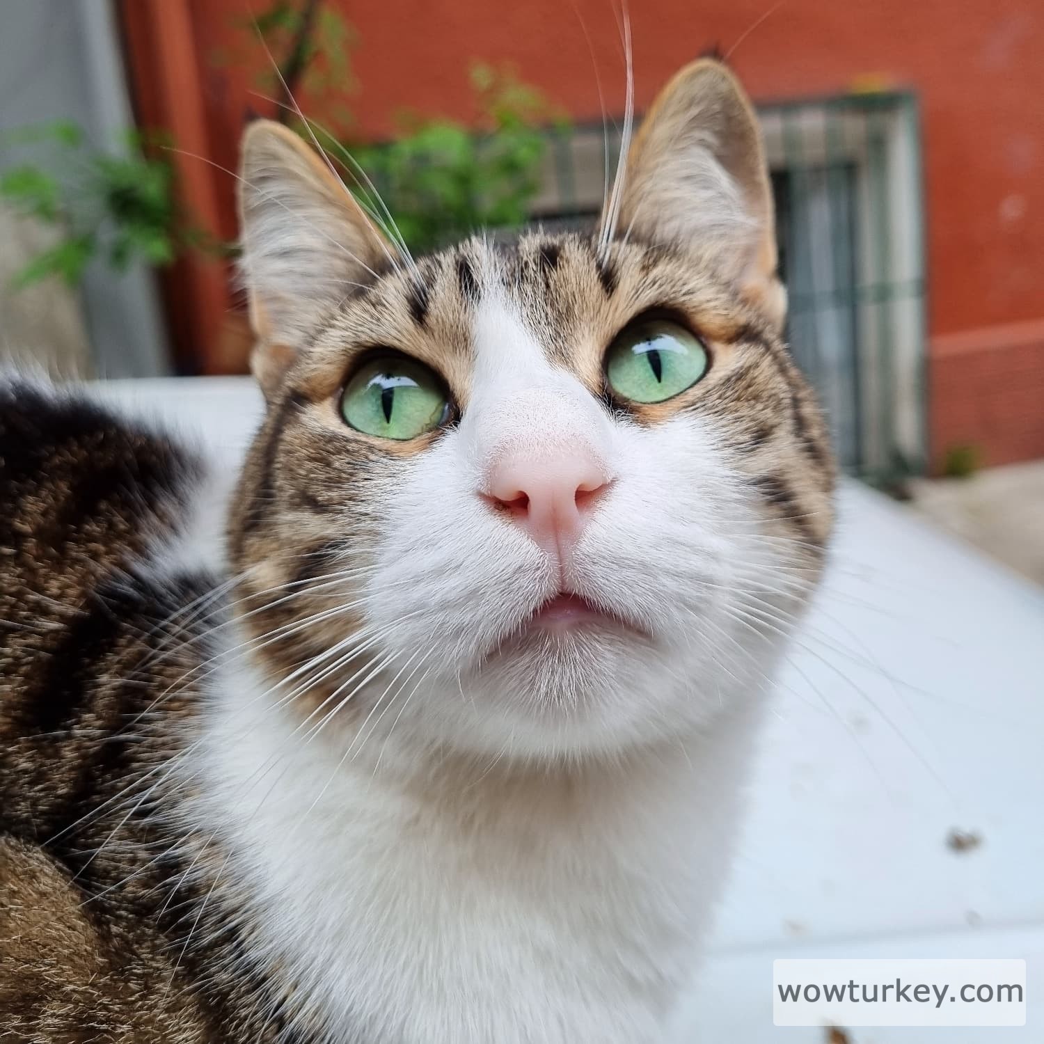 IMG_20240502_101720_166