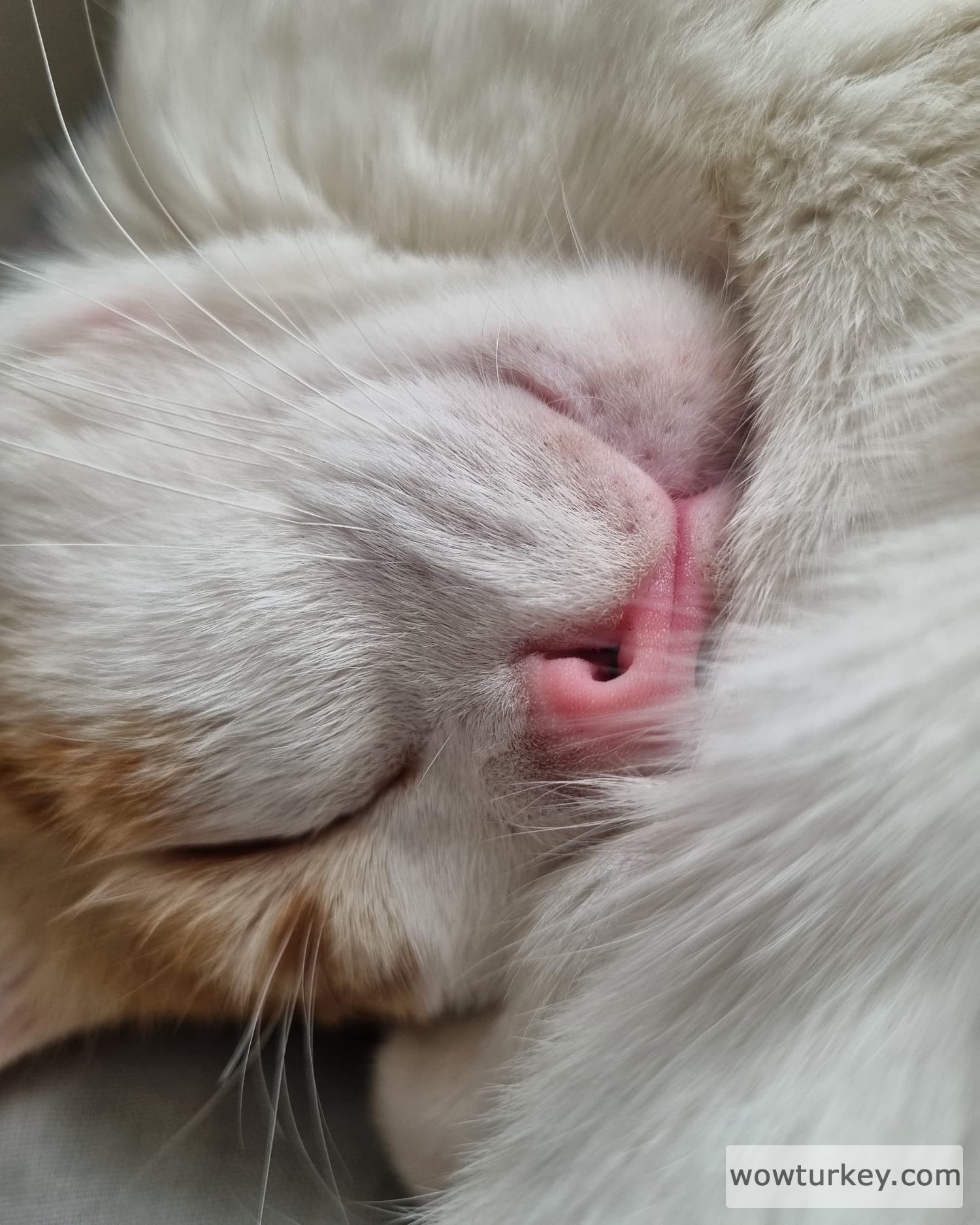 IMG_20240503_145743_756