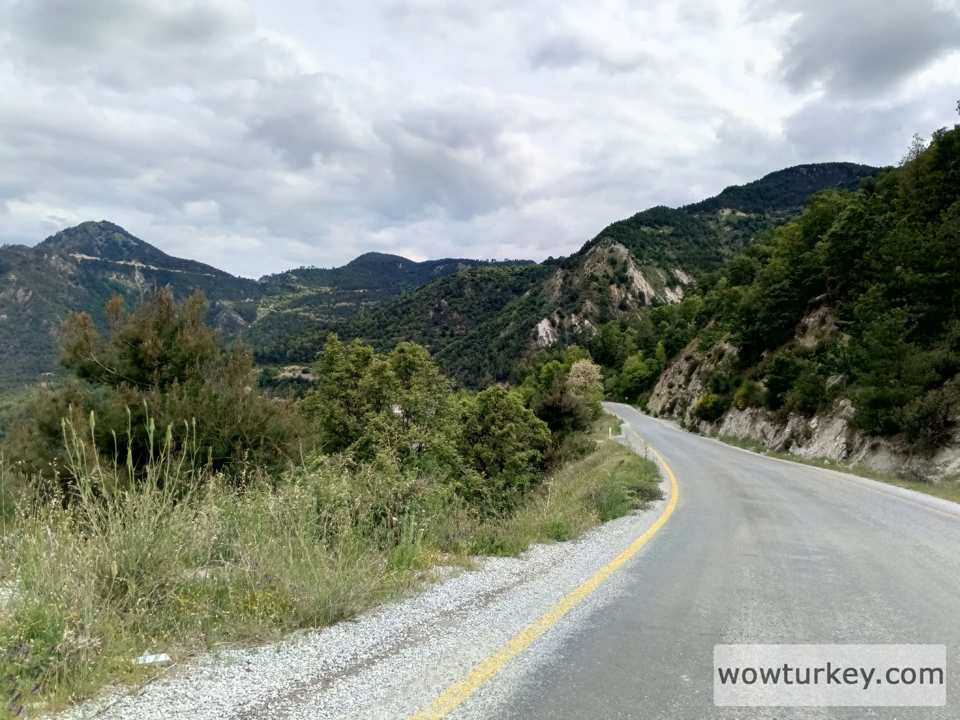 IMG_20240512_163116_924