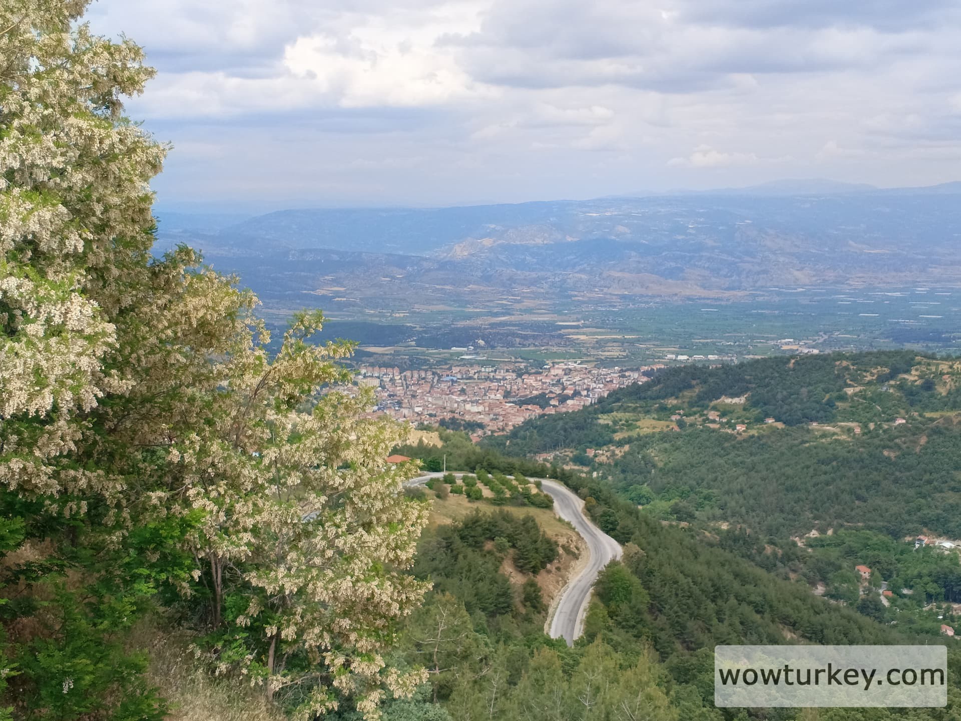 IMG_20240512_163201_676