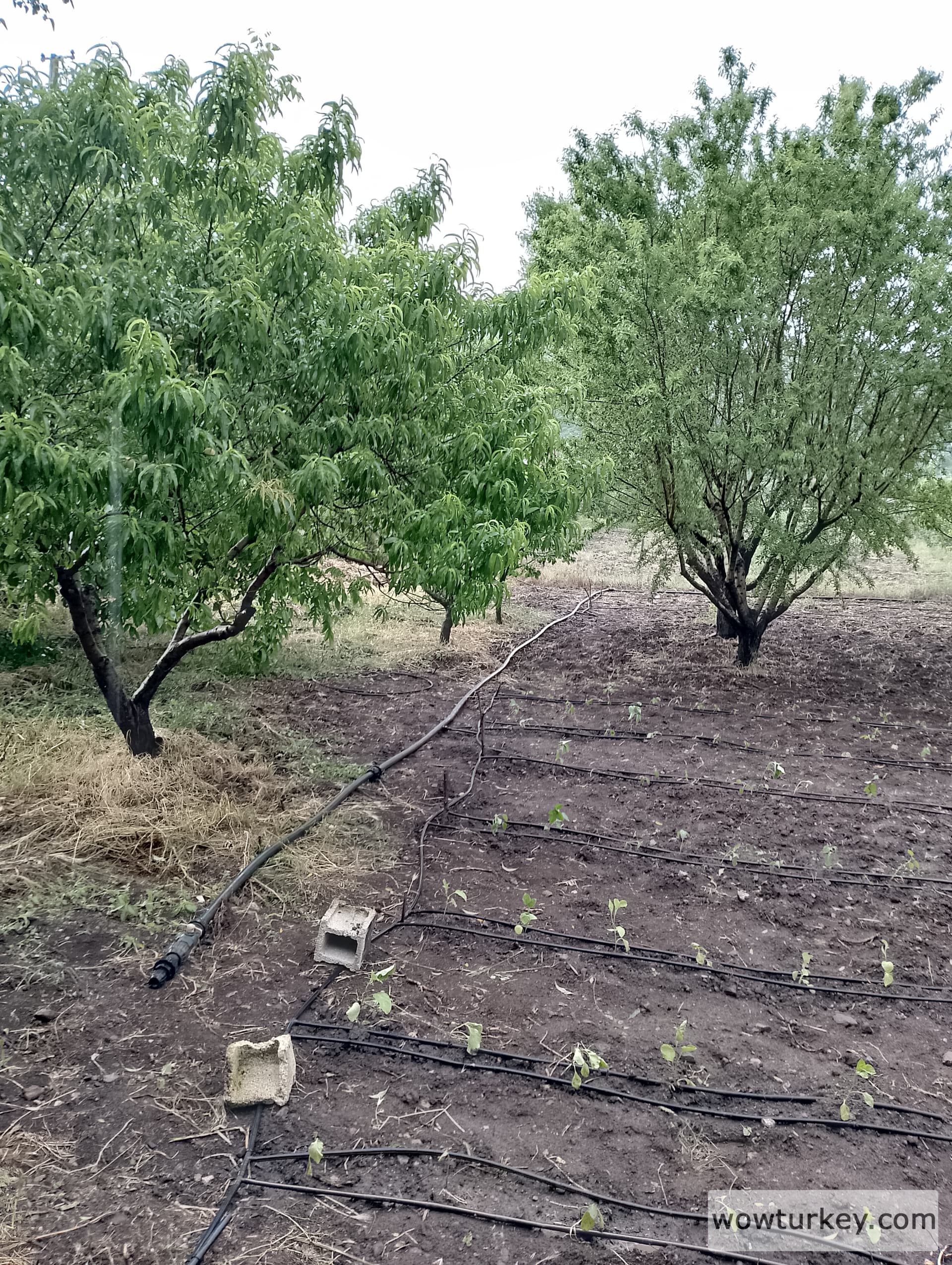 IMG_20240512_164044_HDR