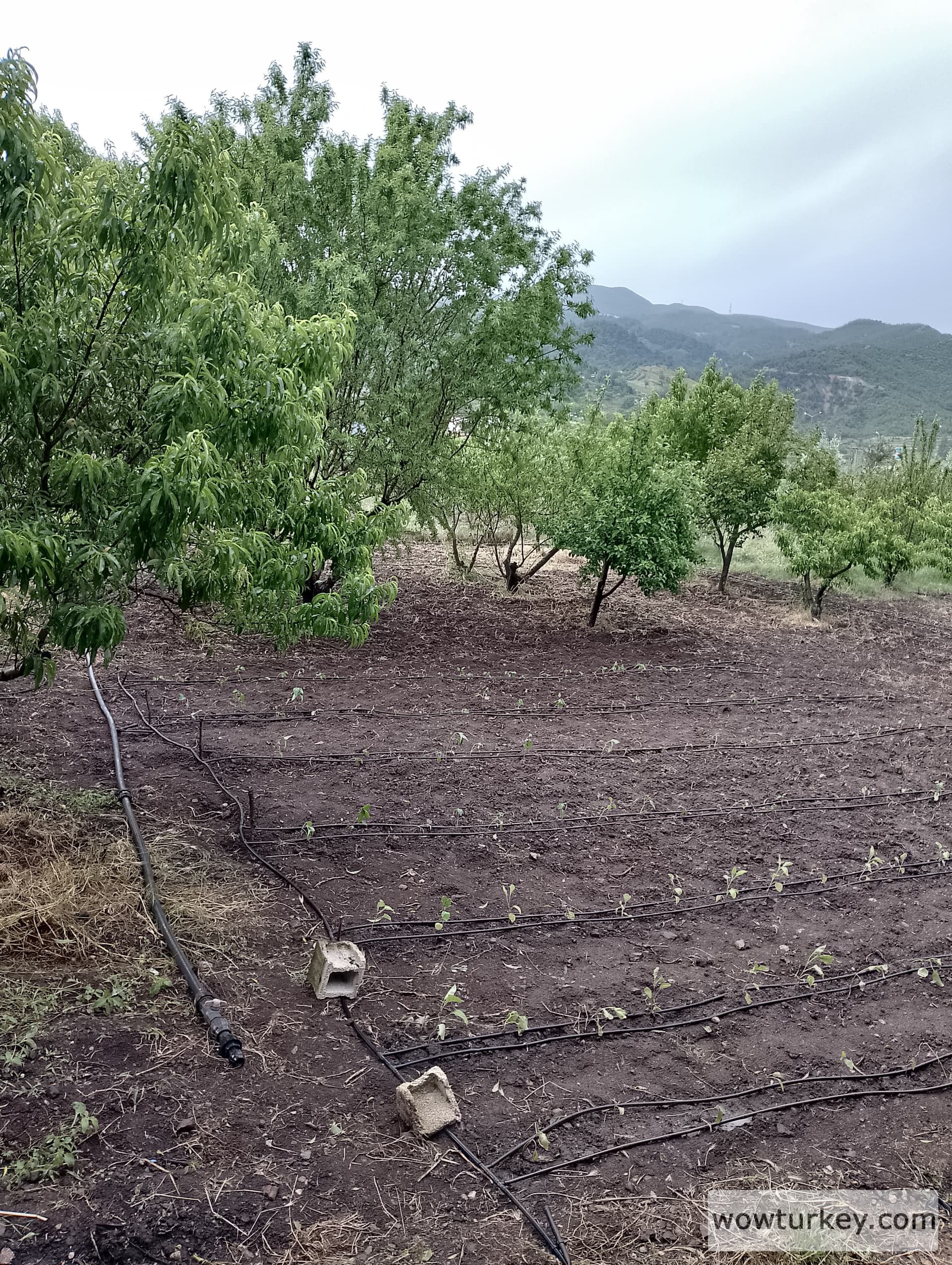 IMG_20240512_164133_HDR