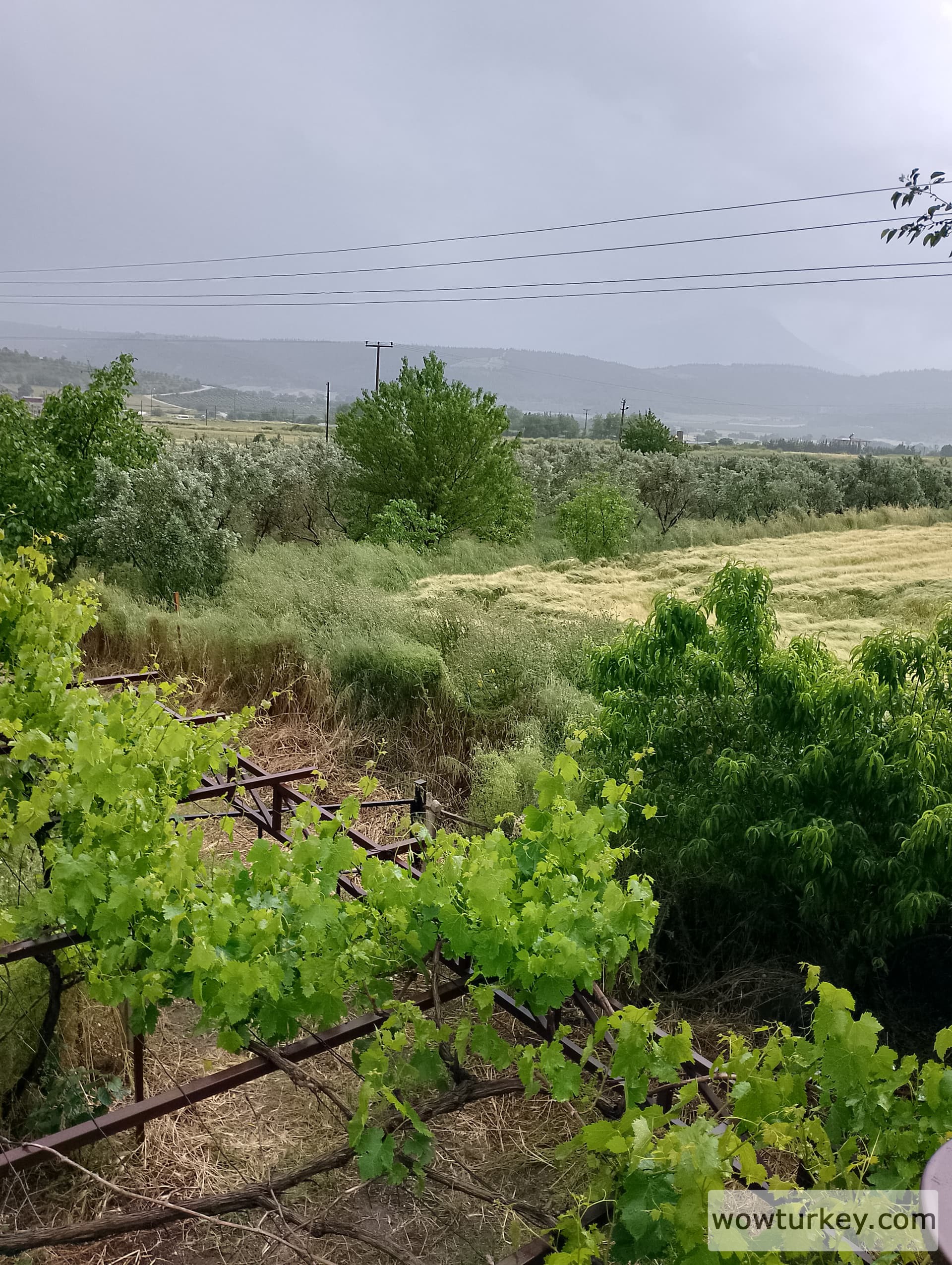 IMG_20240512_164233_HDR