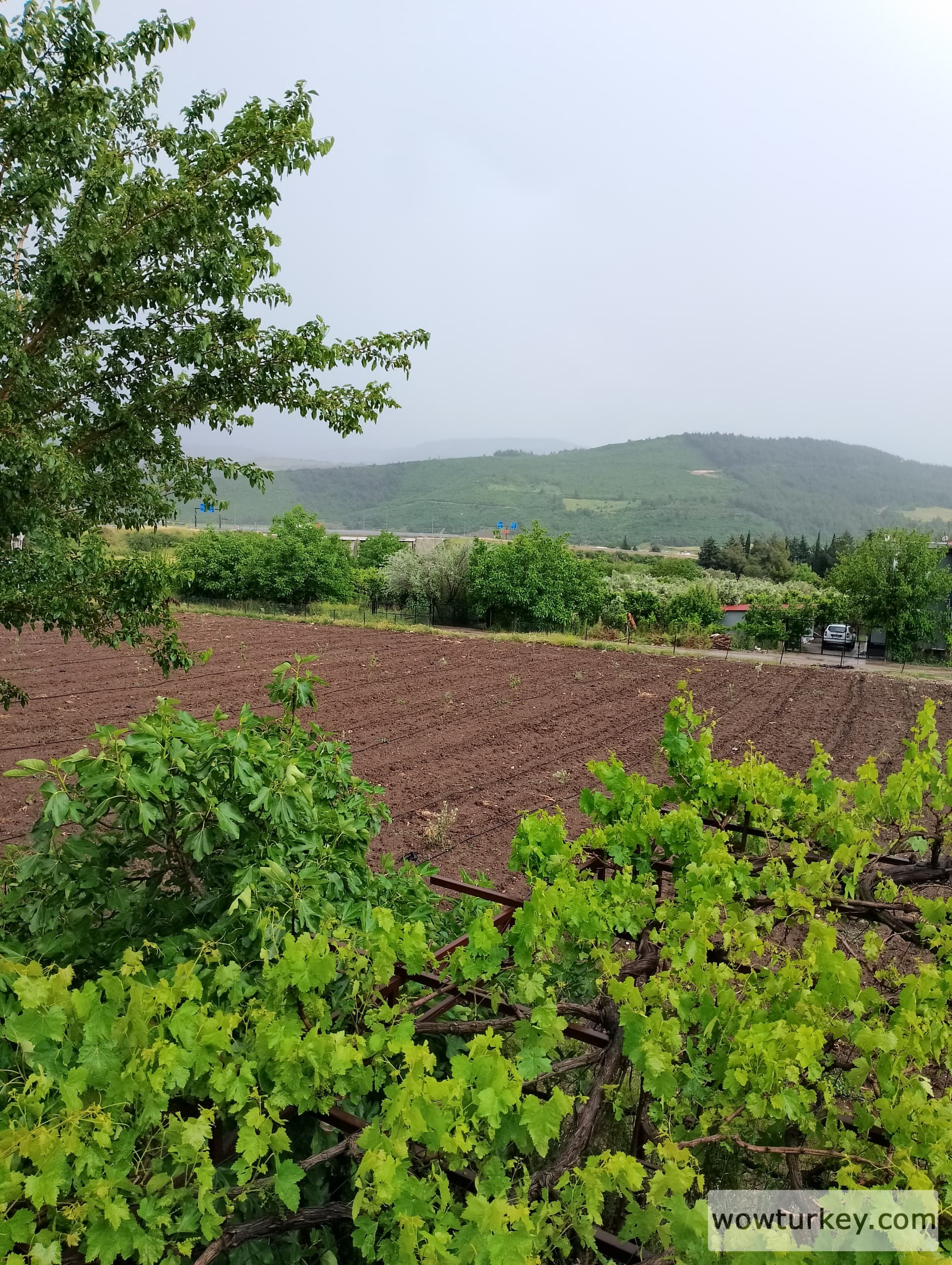 IMG_20240512_164238_HDR