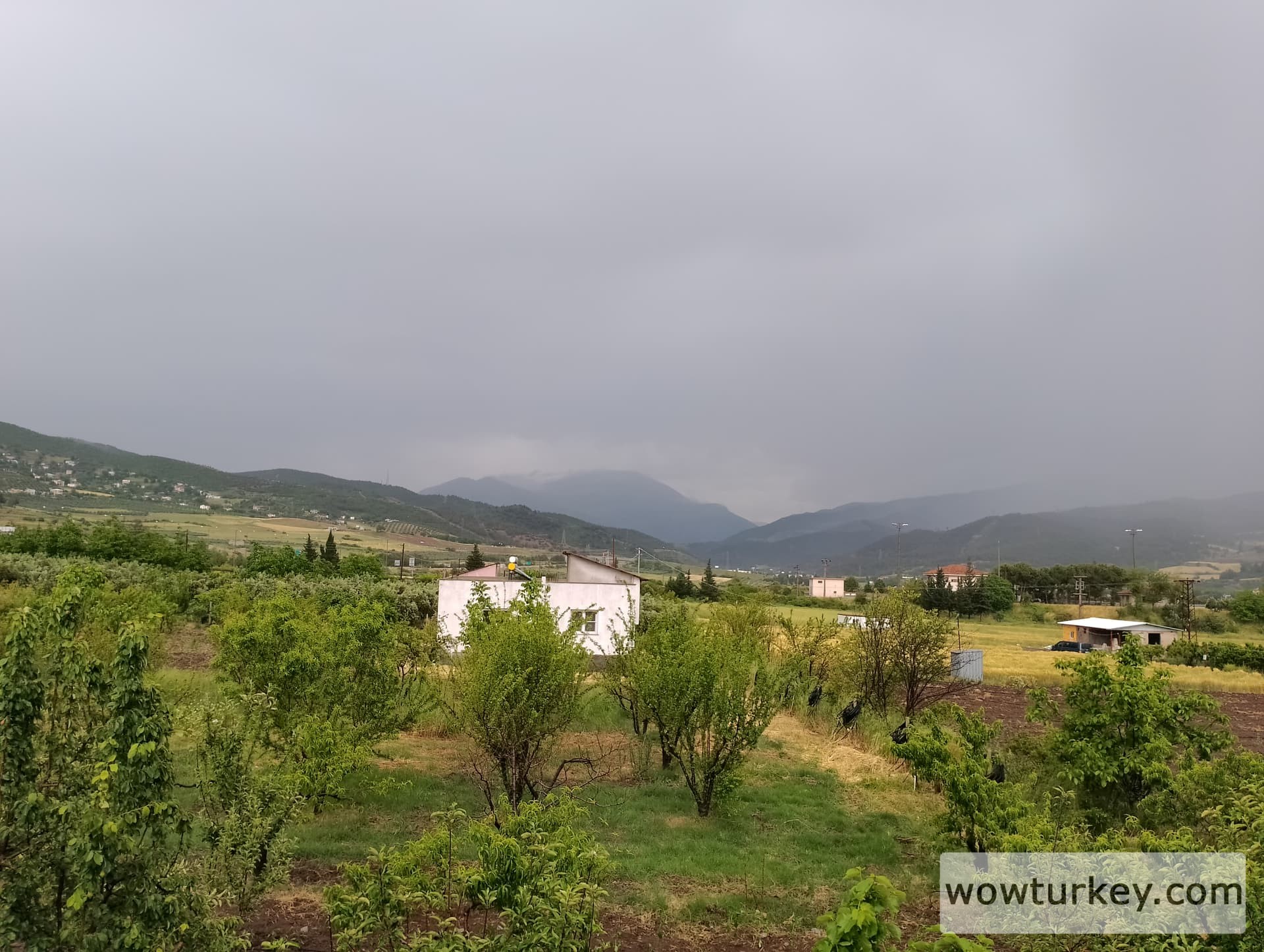 IMG_20240512_164329_HDR