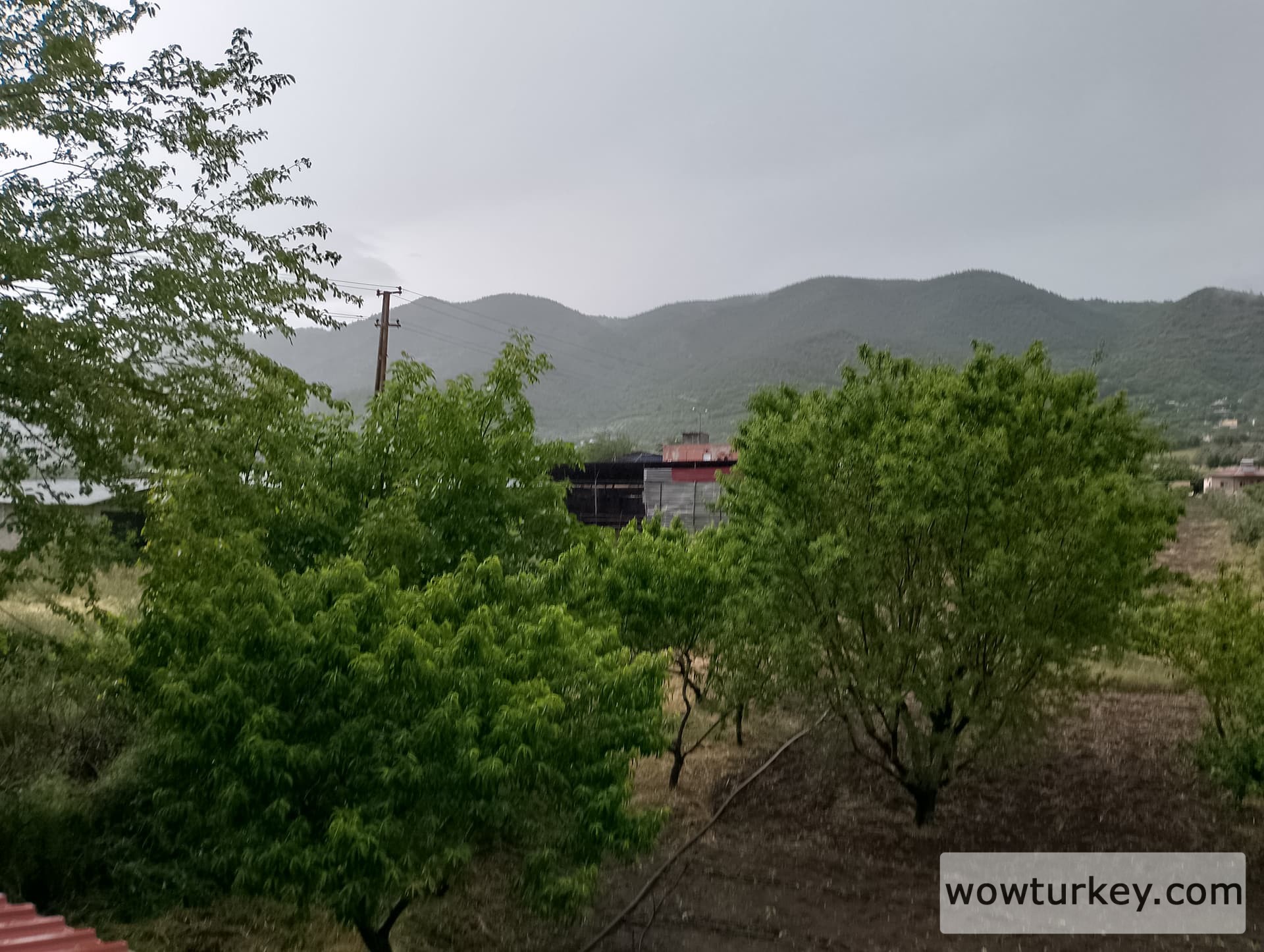 IMG_20240512_164336_HDR