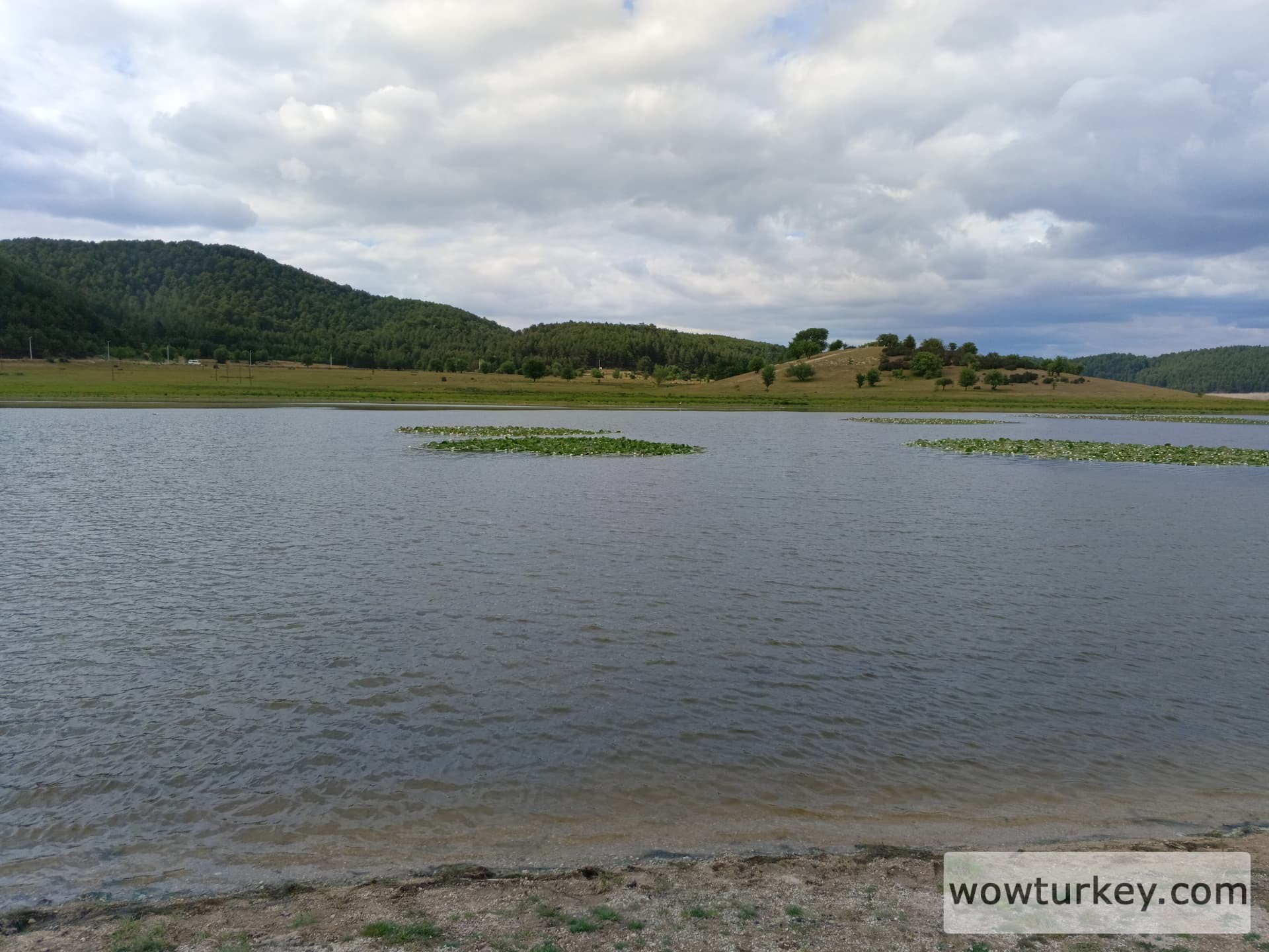 IMG_20240512_164421_569