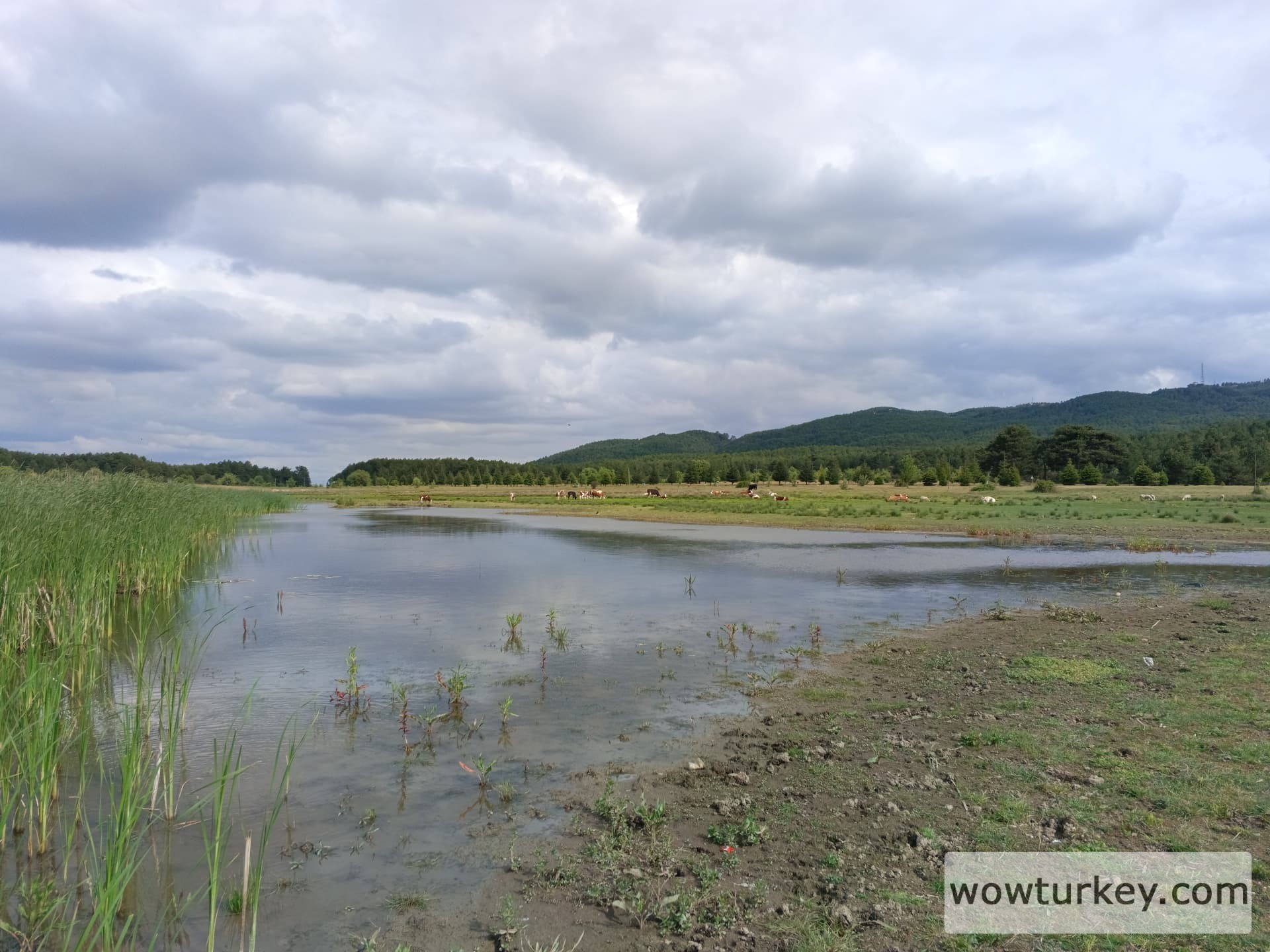 IMG_20240512_164840_286