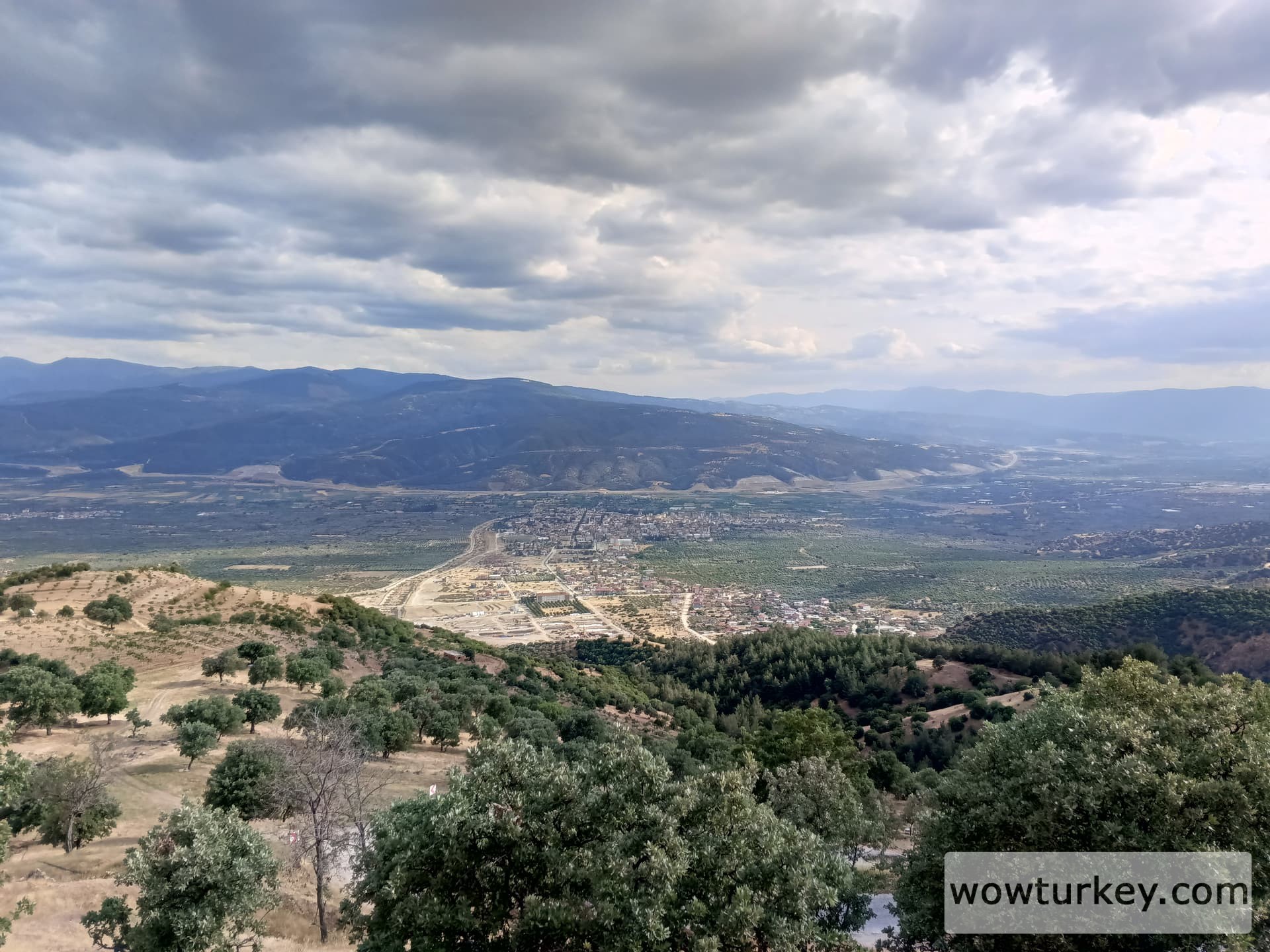 IMG_20240512_173103_571