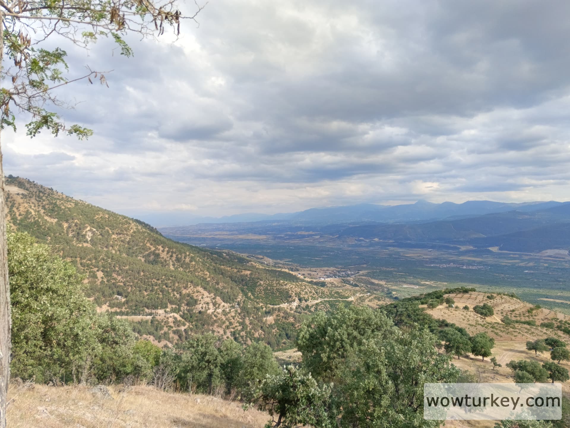 IMG_20240512_173108_061