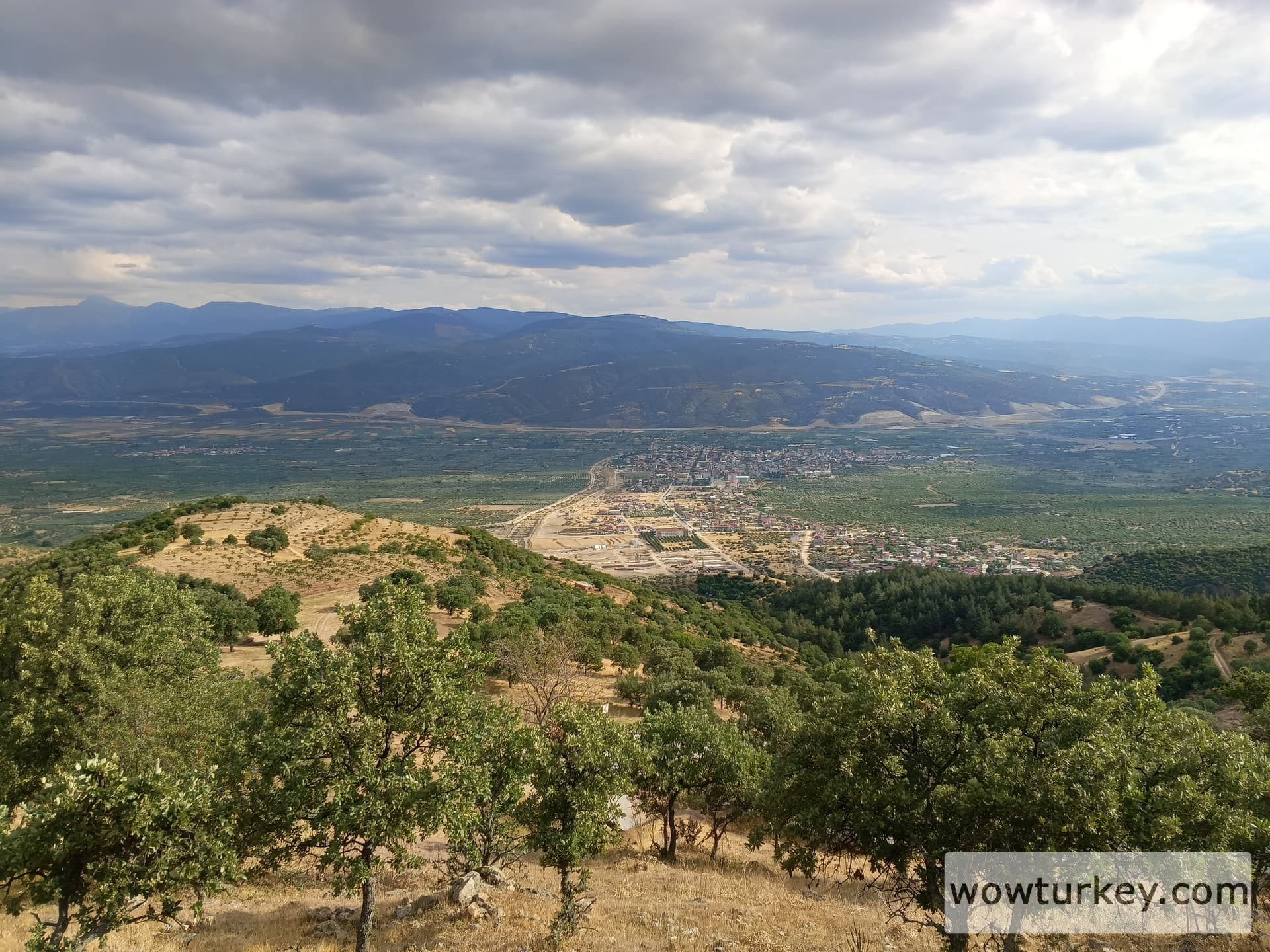 IMG_20240512_173207_021