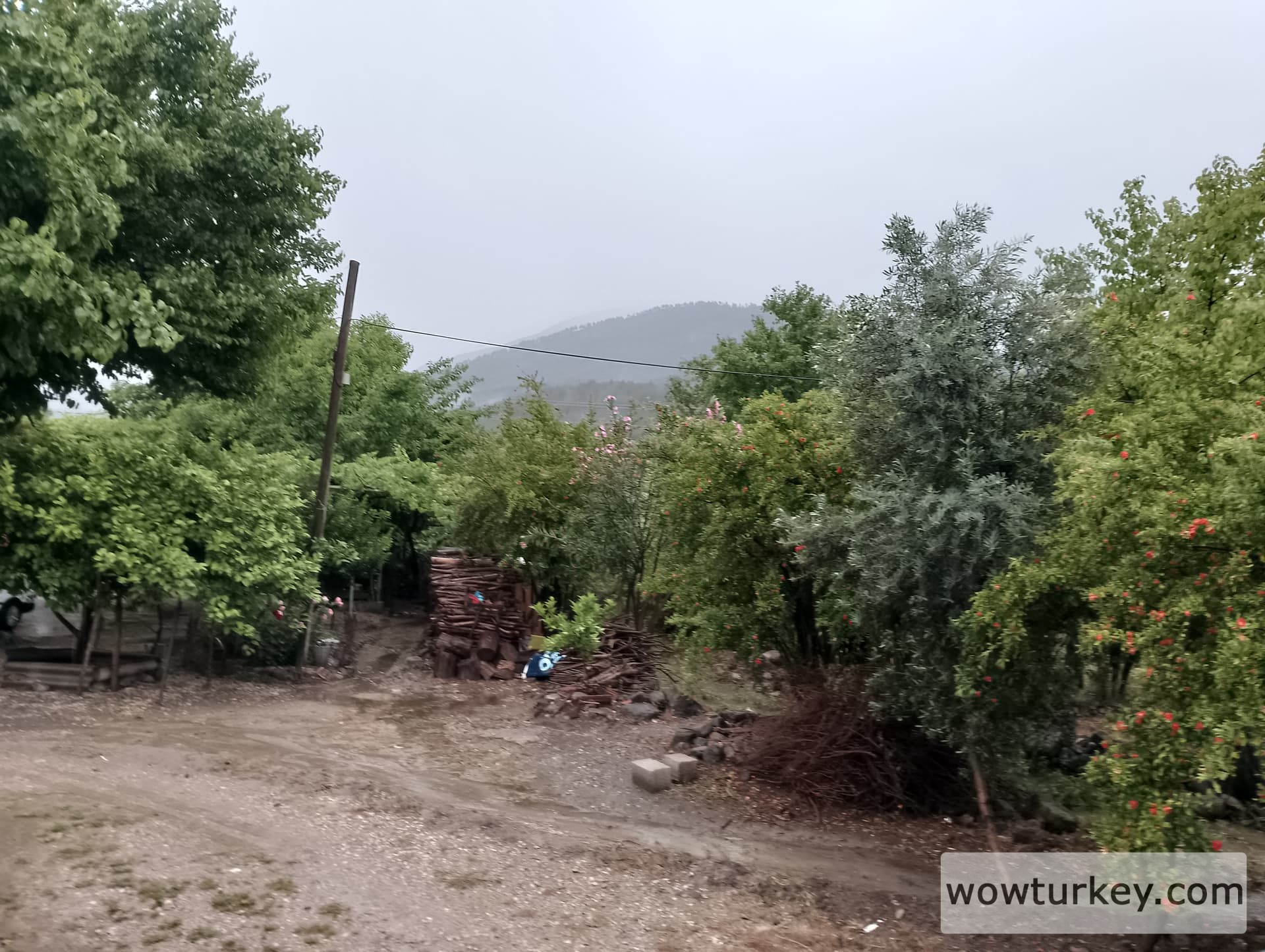 IMG_20240512_182642_HDR