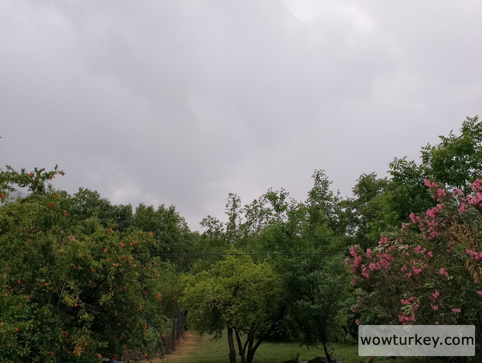 IMG_20240512_182651_HDR