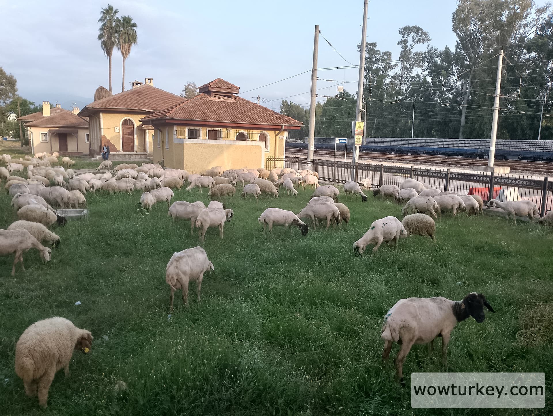 IMG_20240518_182100_HDR