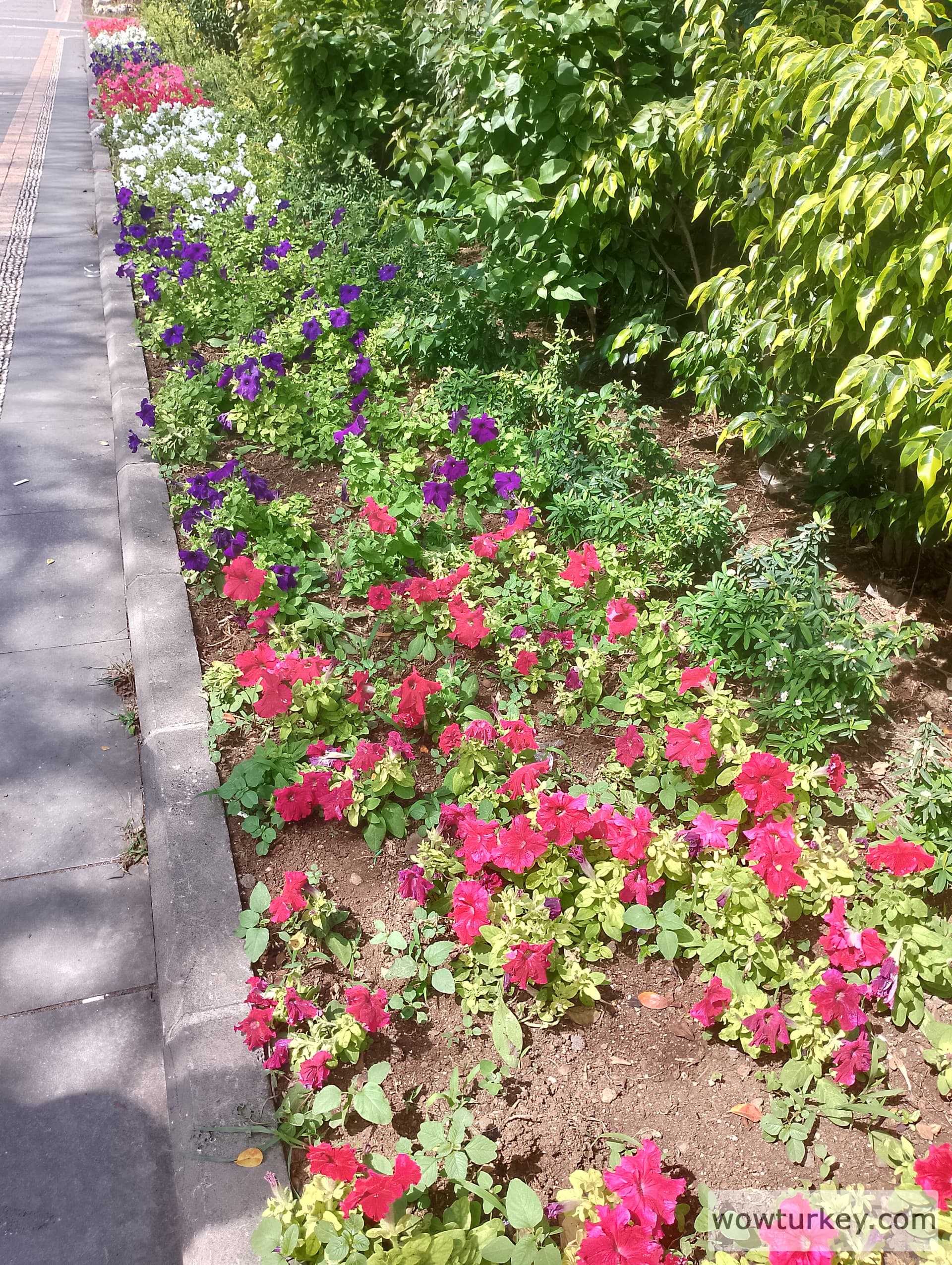 IMG_20240519_144536_HDR