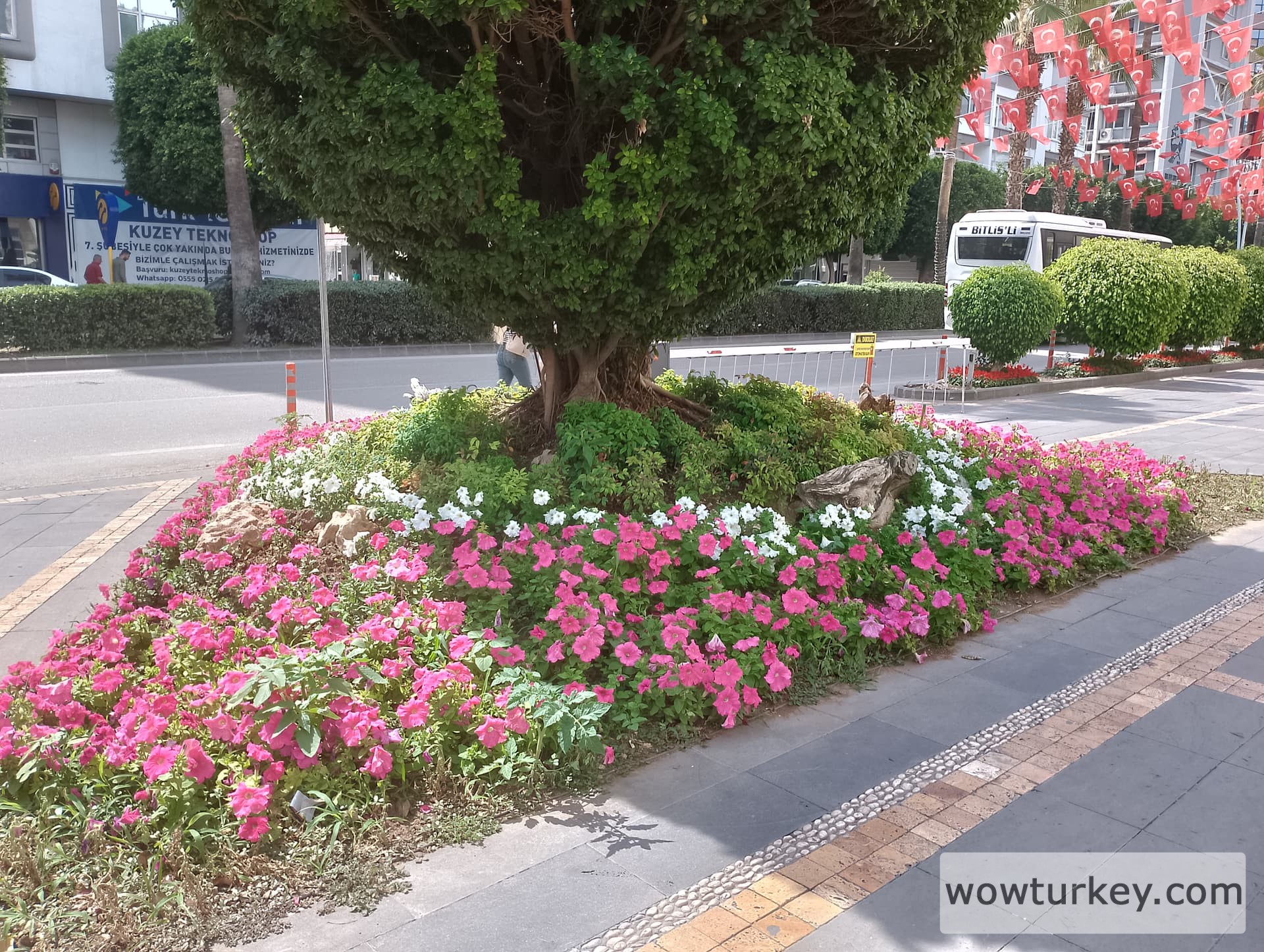 IMG_20240519_144655_HDR