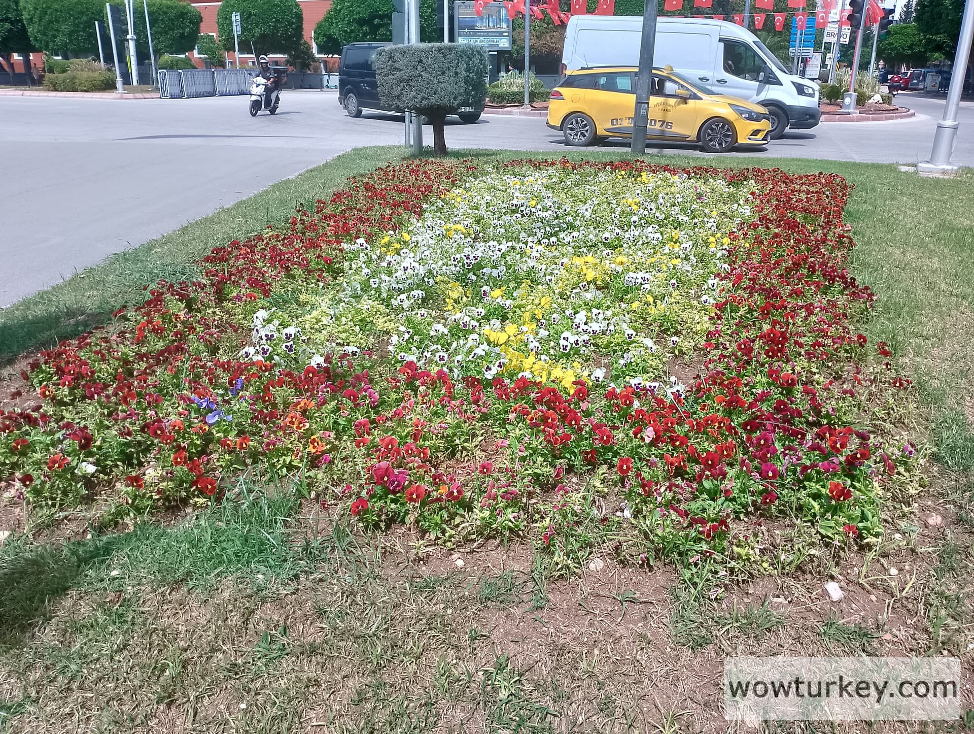 IMG_20240519_145307_HDR