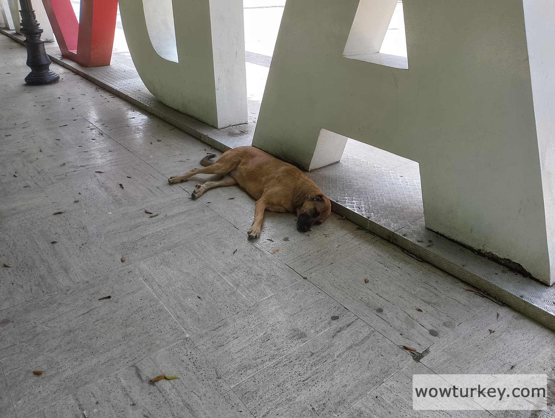 IMG_20240519_145639_HDR