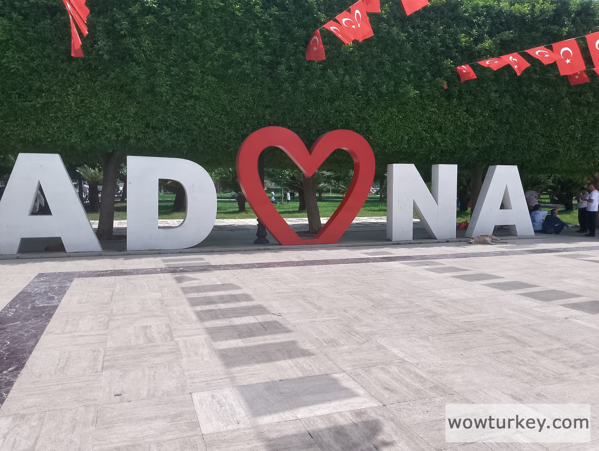 IMG_20240519_145718_HDR