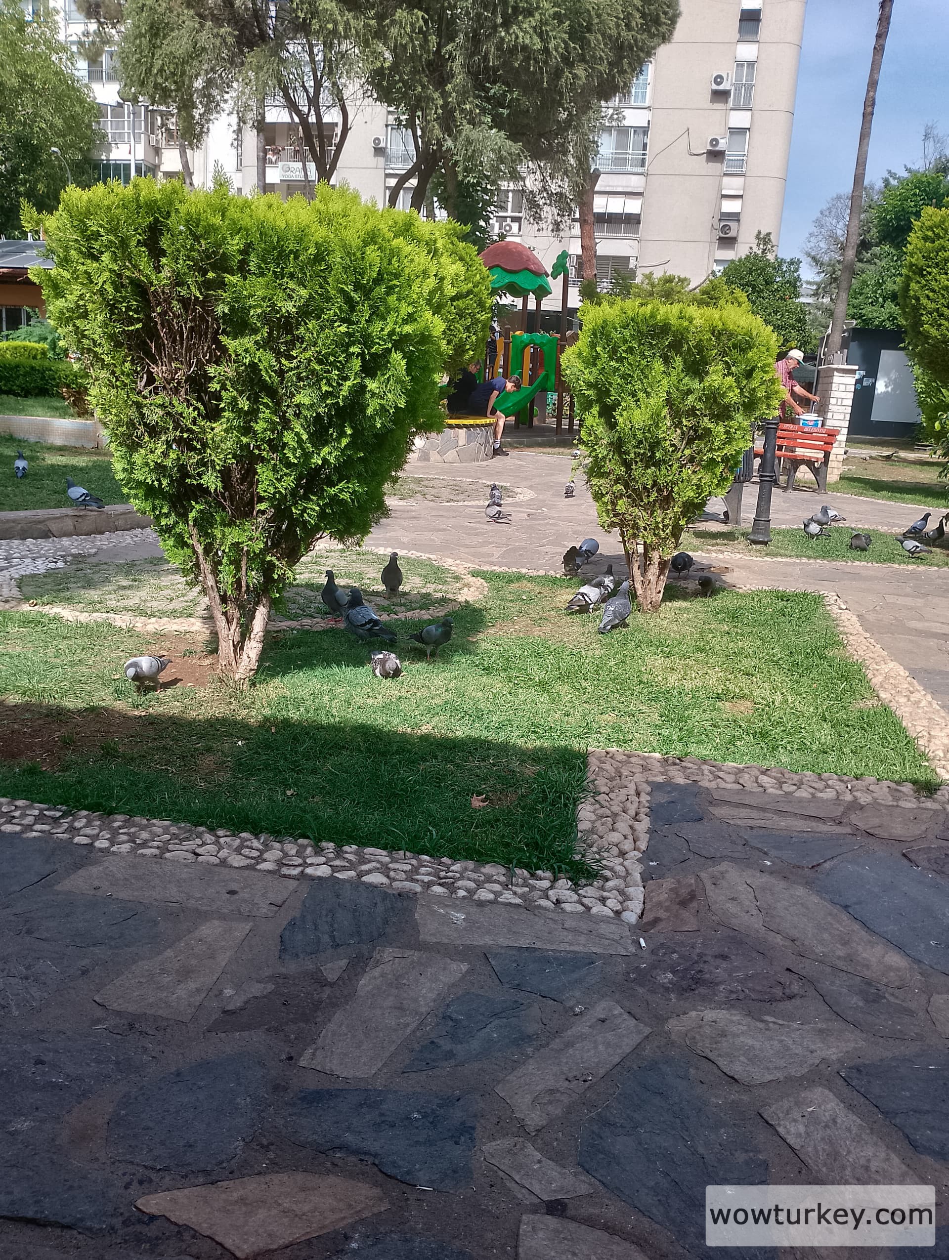 IMG_20240519_152854_HDR