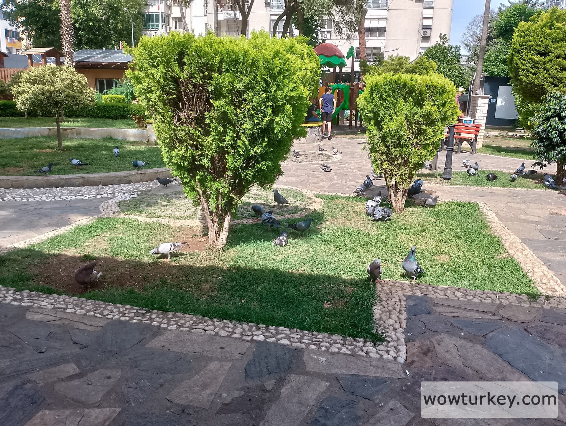 IMG_20240519_152859_HDR