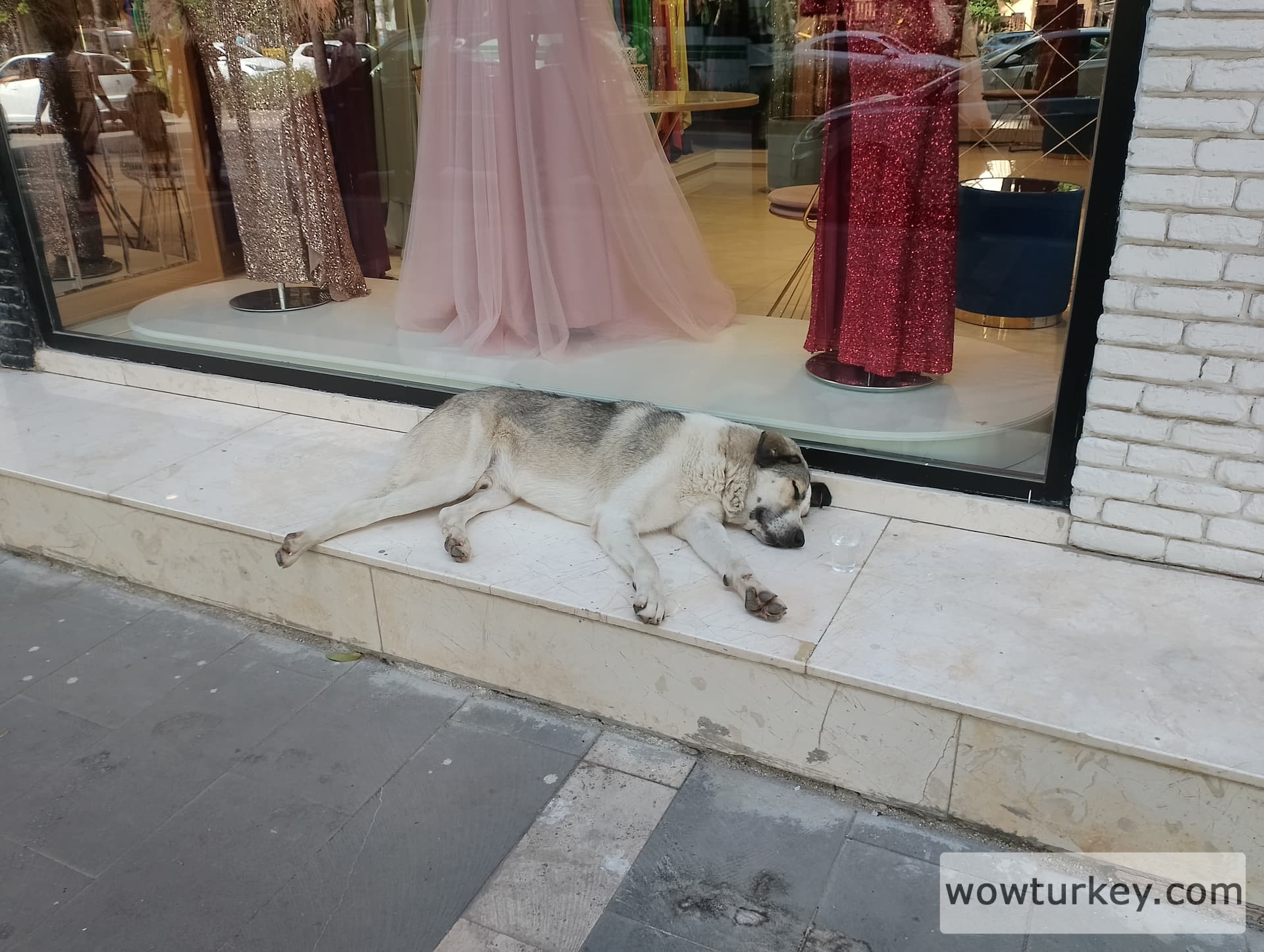 IMG_20240519_153737_HDR