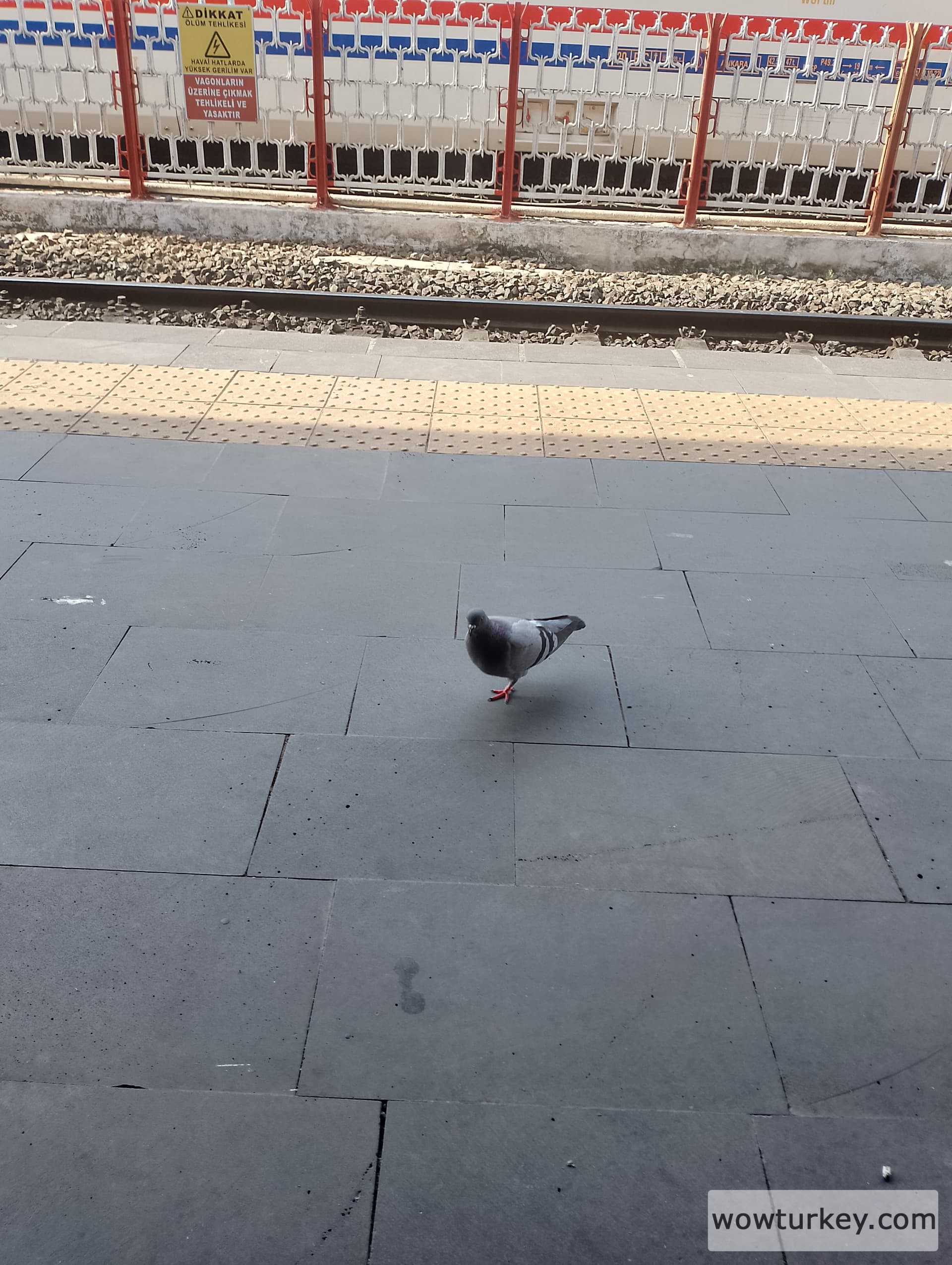 IMG_20240519_161624_HDR