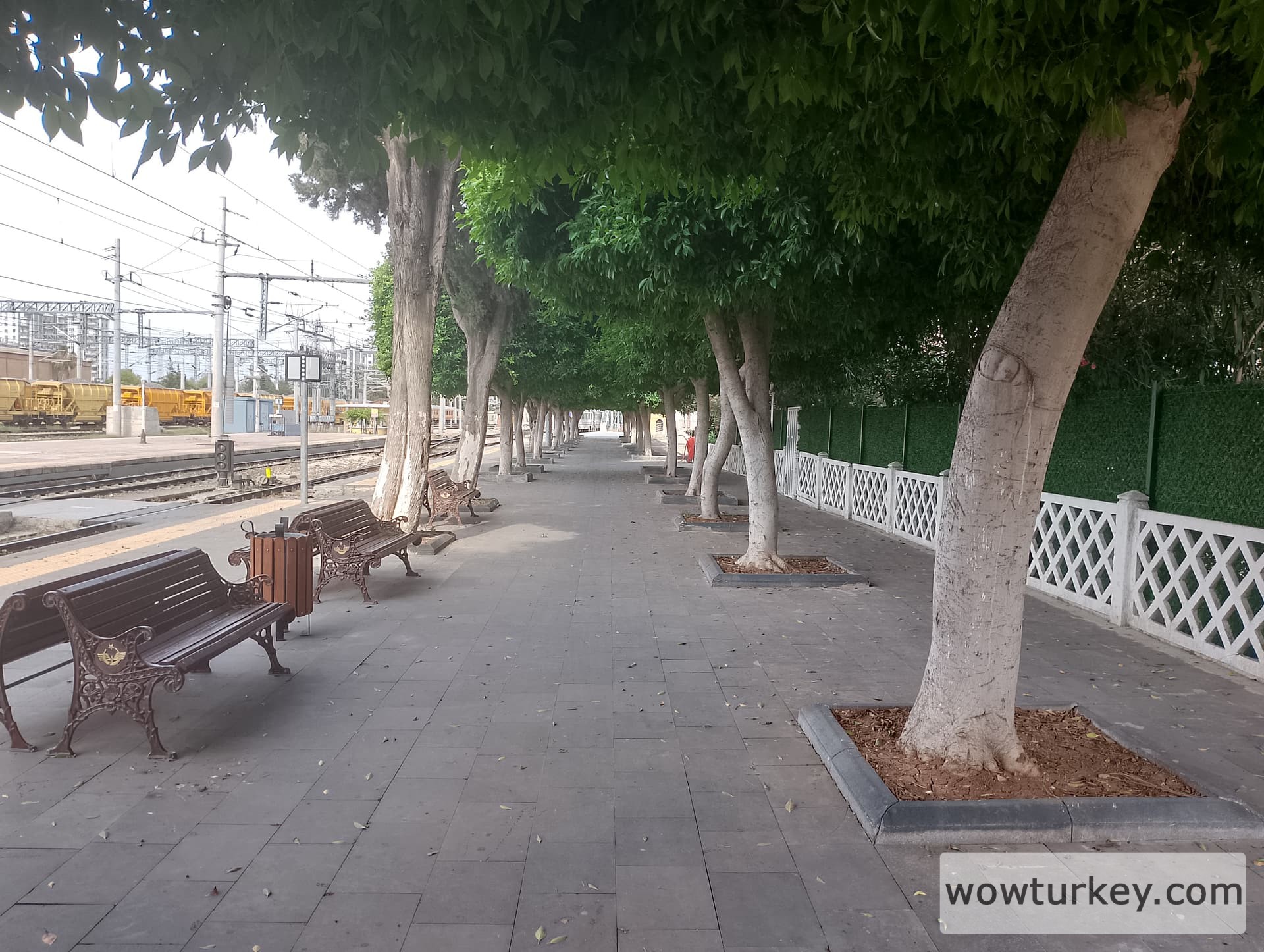 IMG_20240519_162156_HDR