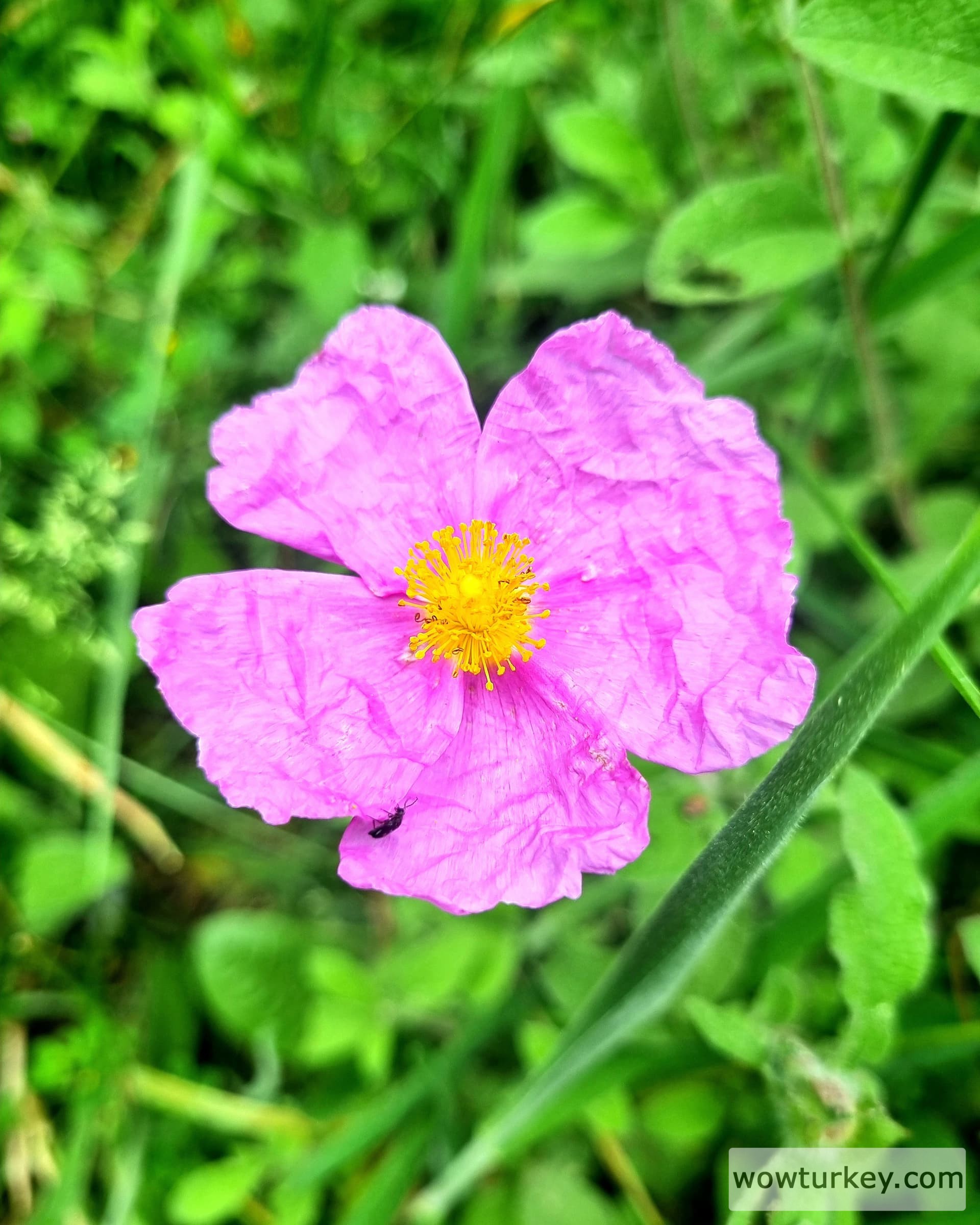 IMG_20240520_091633_096