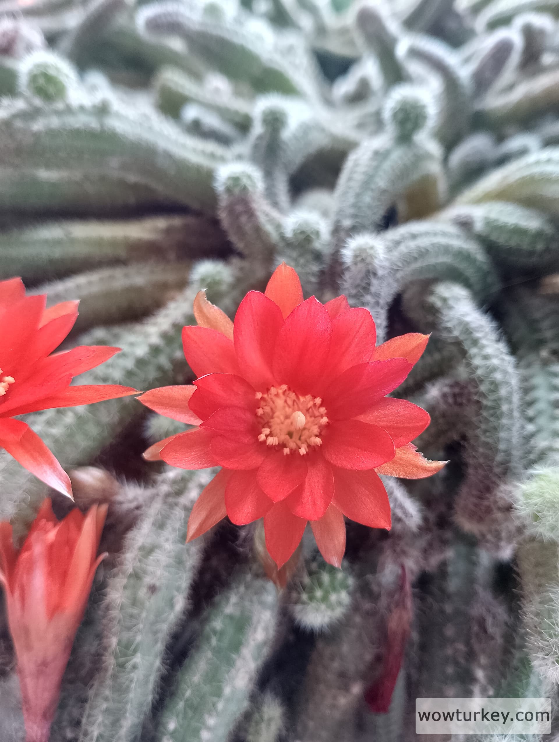 IMG_20240526_104047_HDR