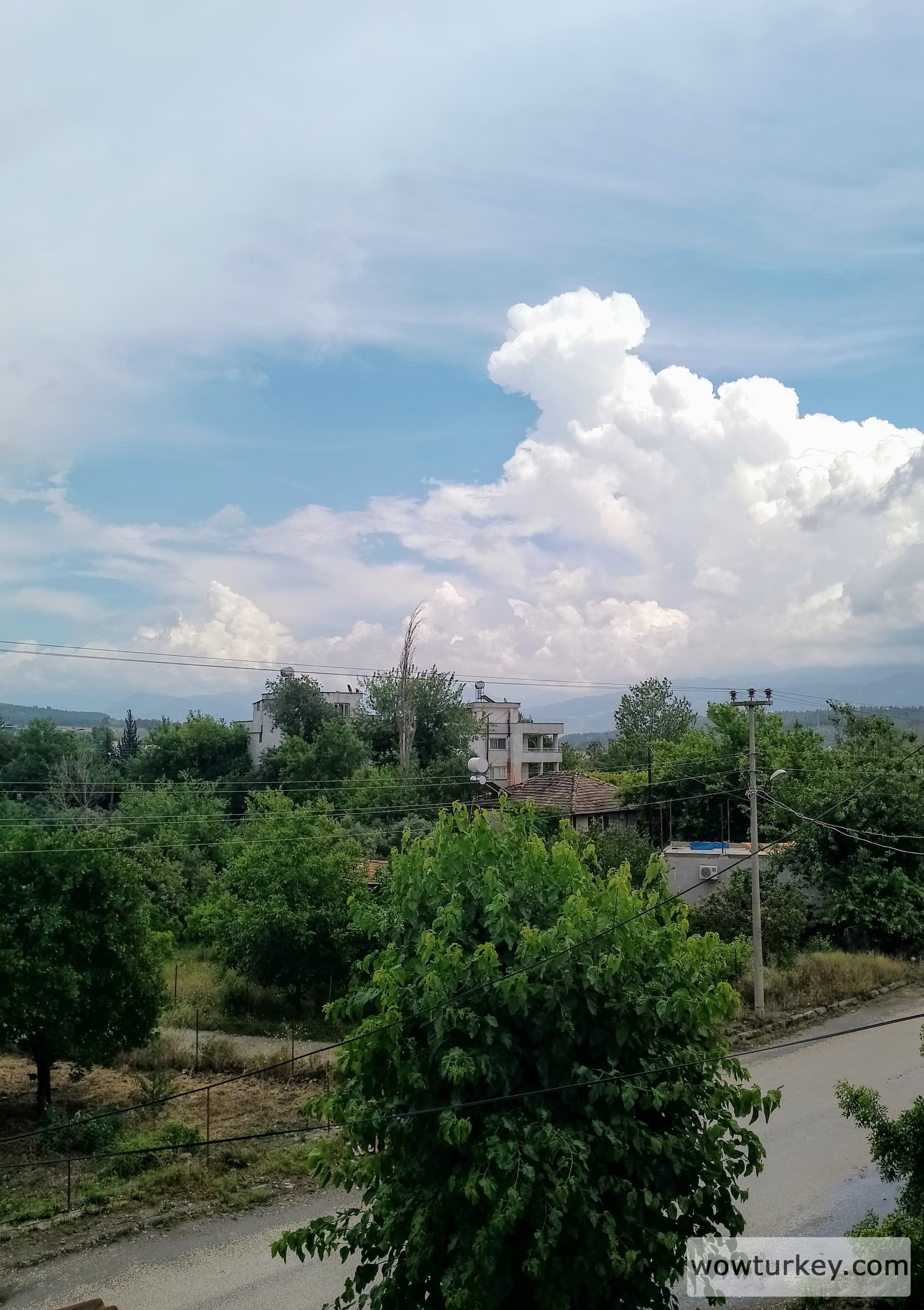 IMG_20240526_133002~2