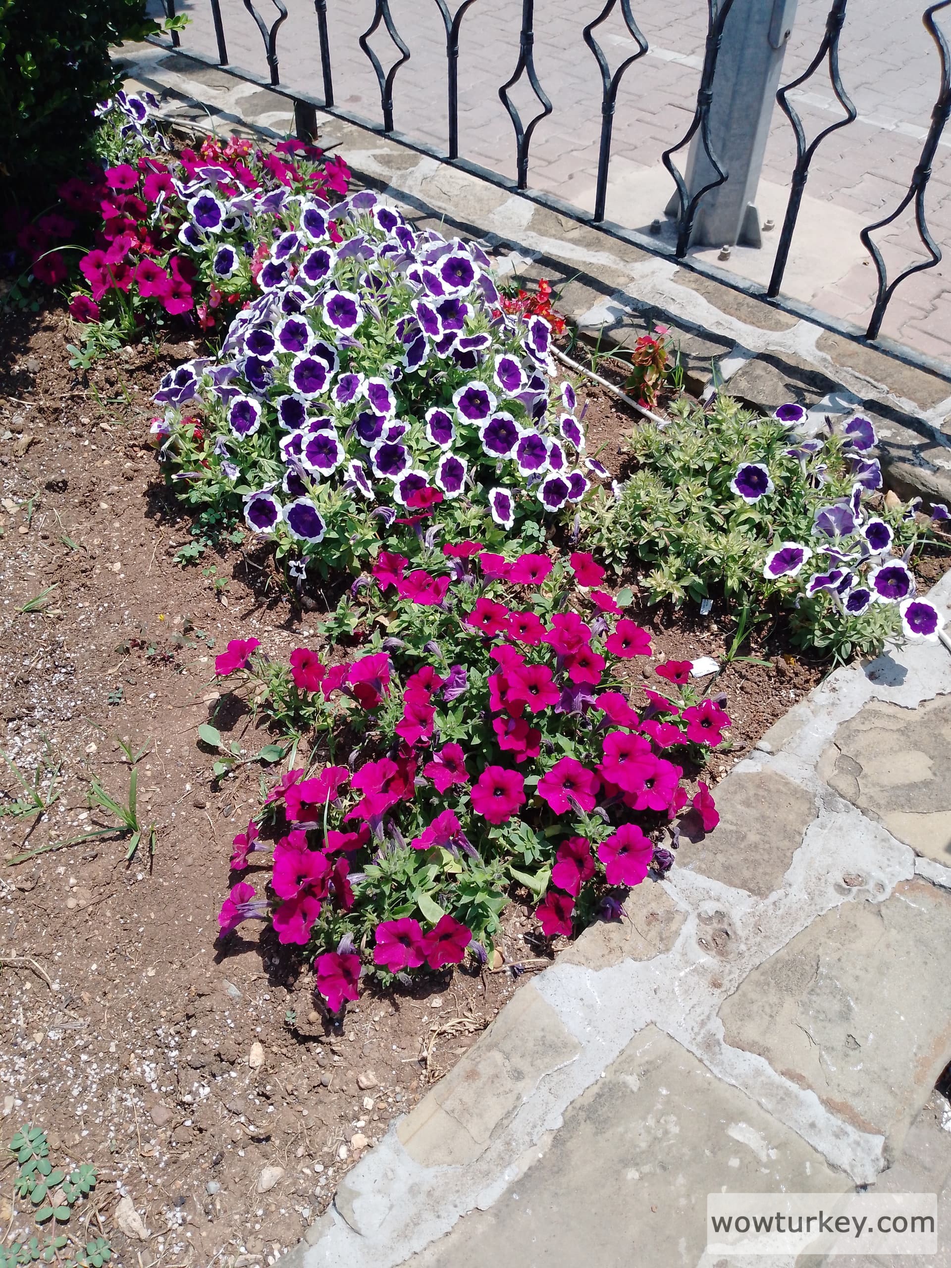 IMG_20240530_130742_031