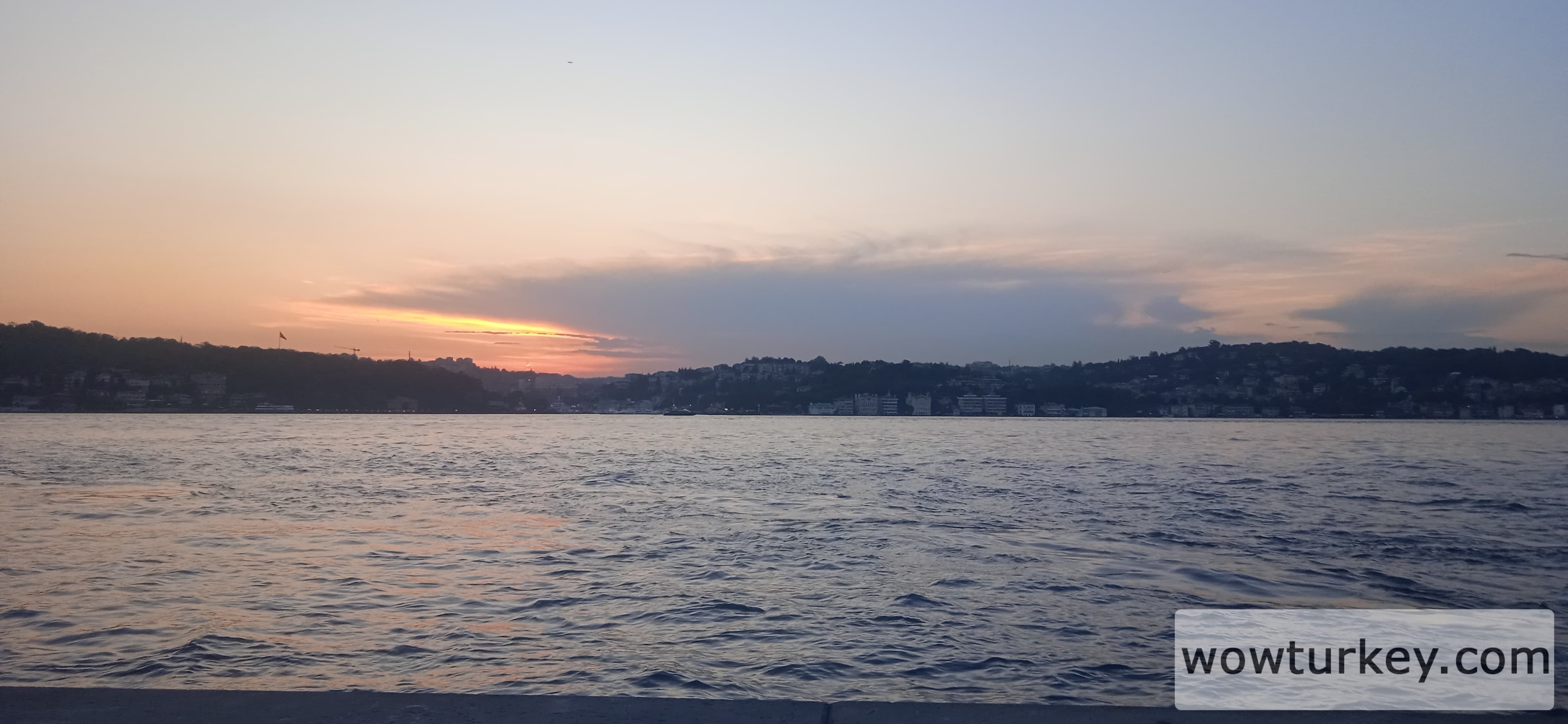 IMG_20240530_202826_1