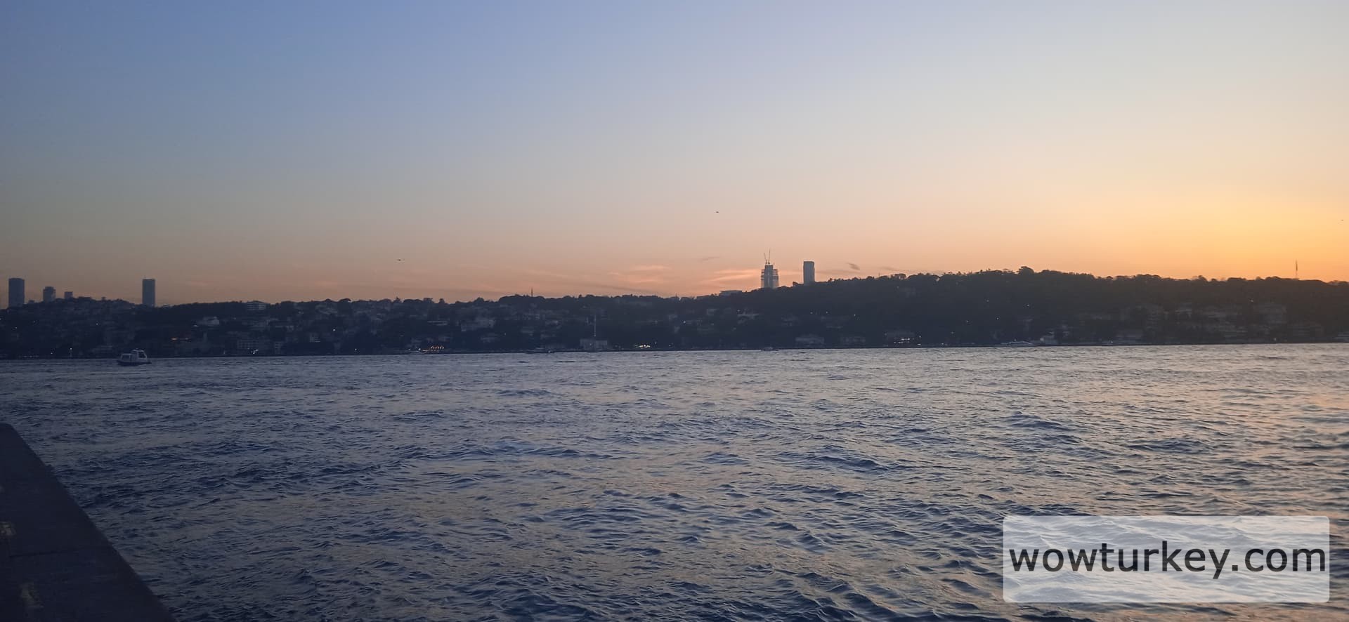 IMG_20240531_203302_1