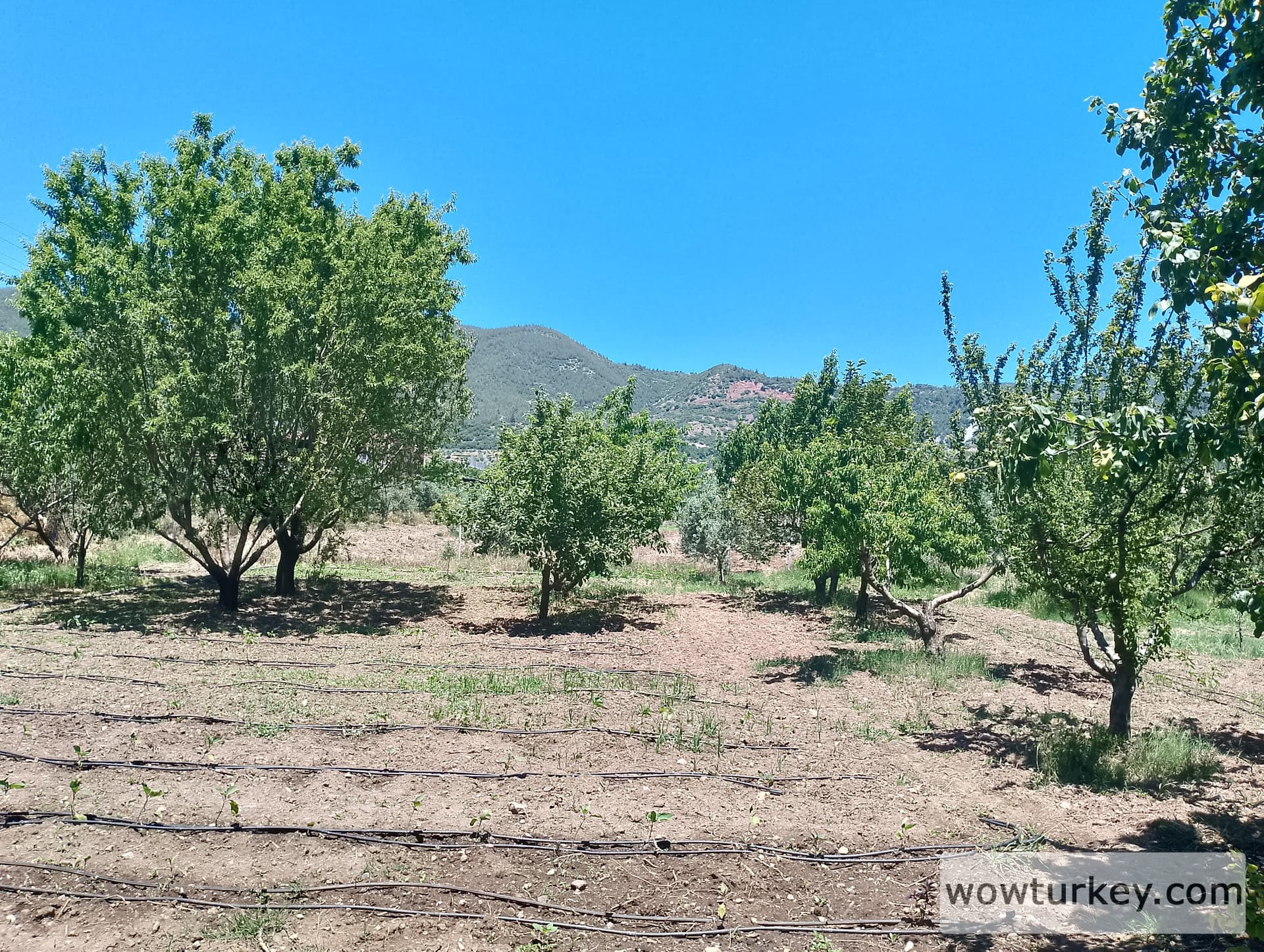 IMG_20240602_121638_HDR