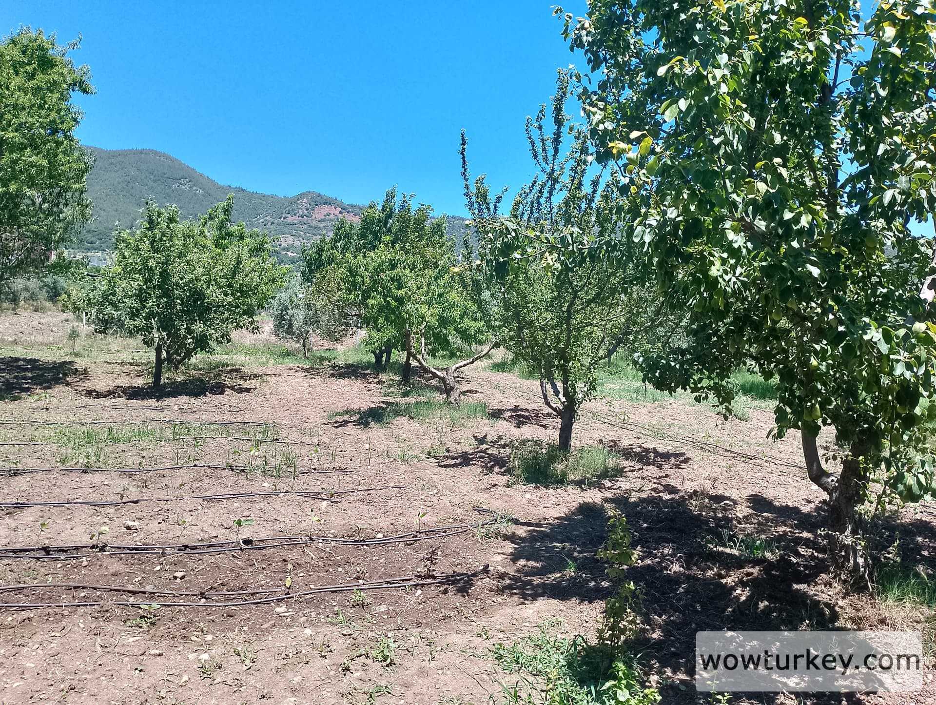 IMG_20240602_121651_HDR