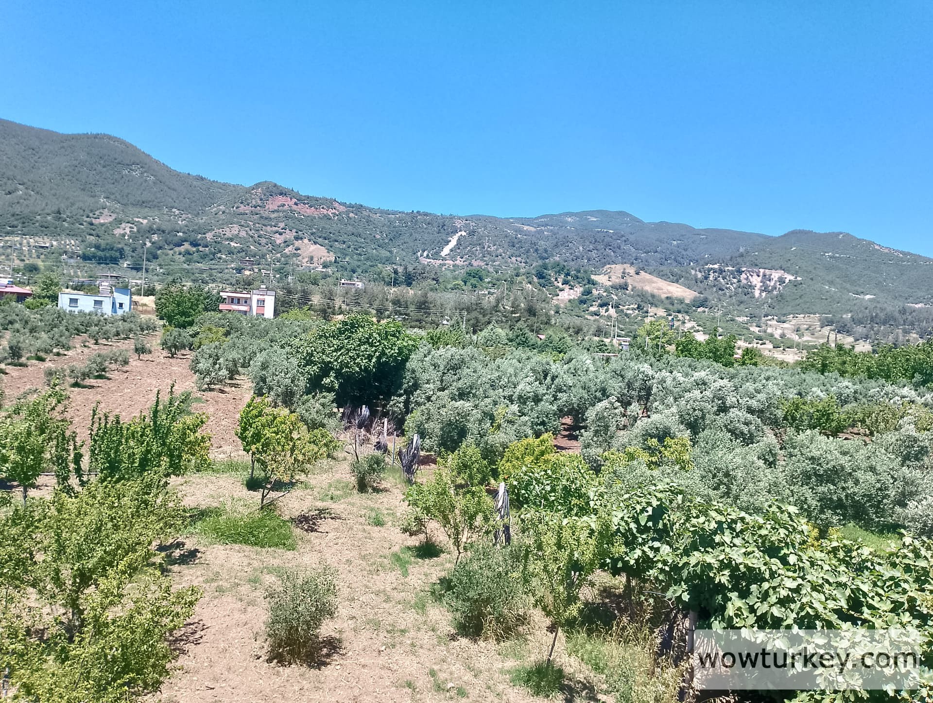 IMG_20240602_130340_HDR