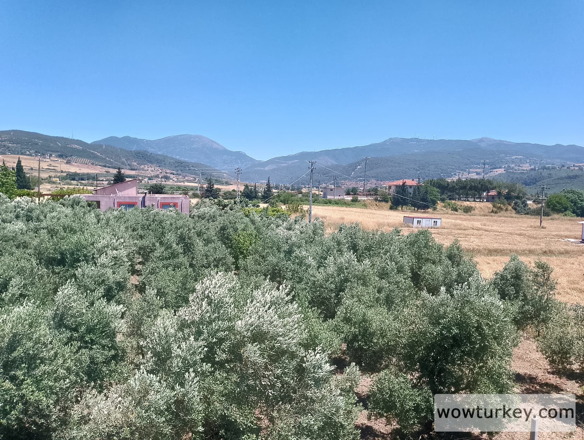 IMG_20240602_130352_HDR